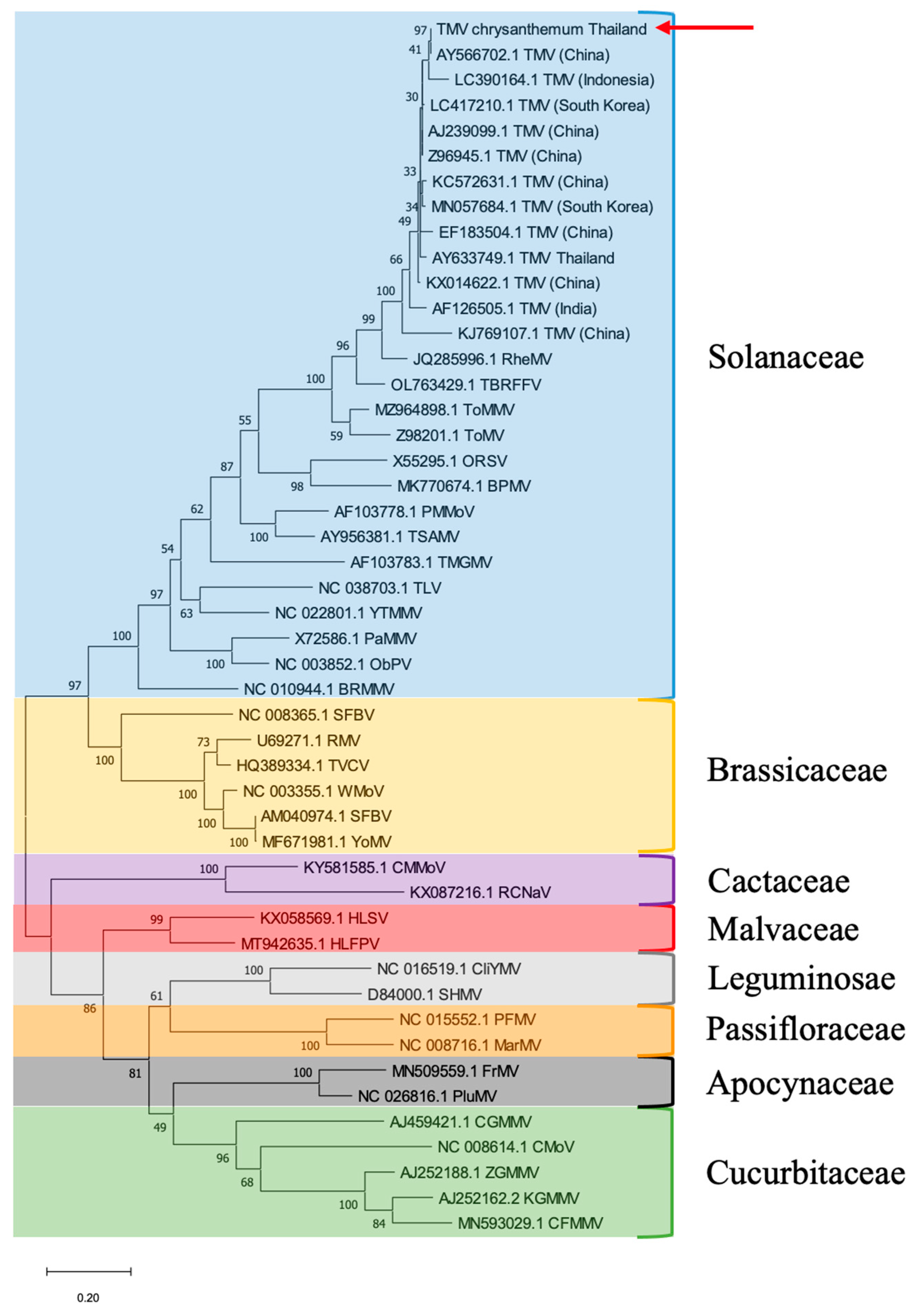 Plants 11 01788 g003 Plants 11 01788 g003