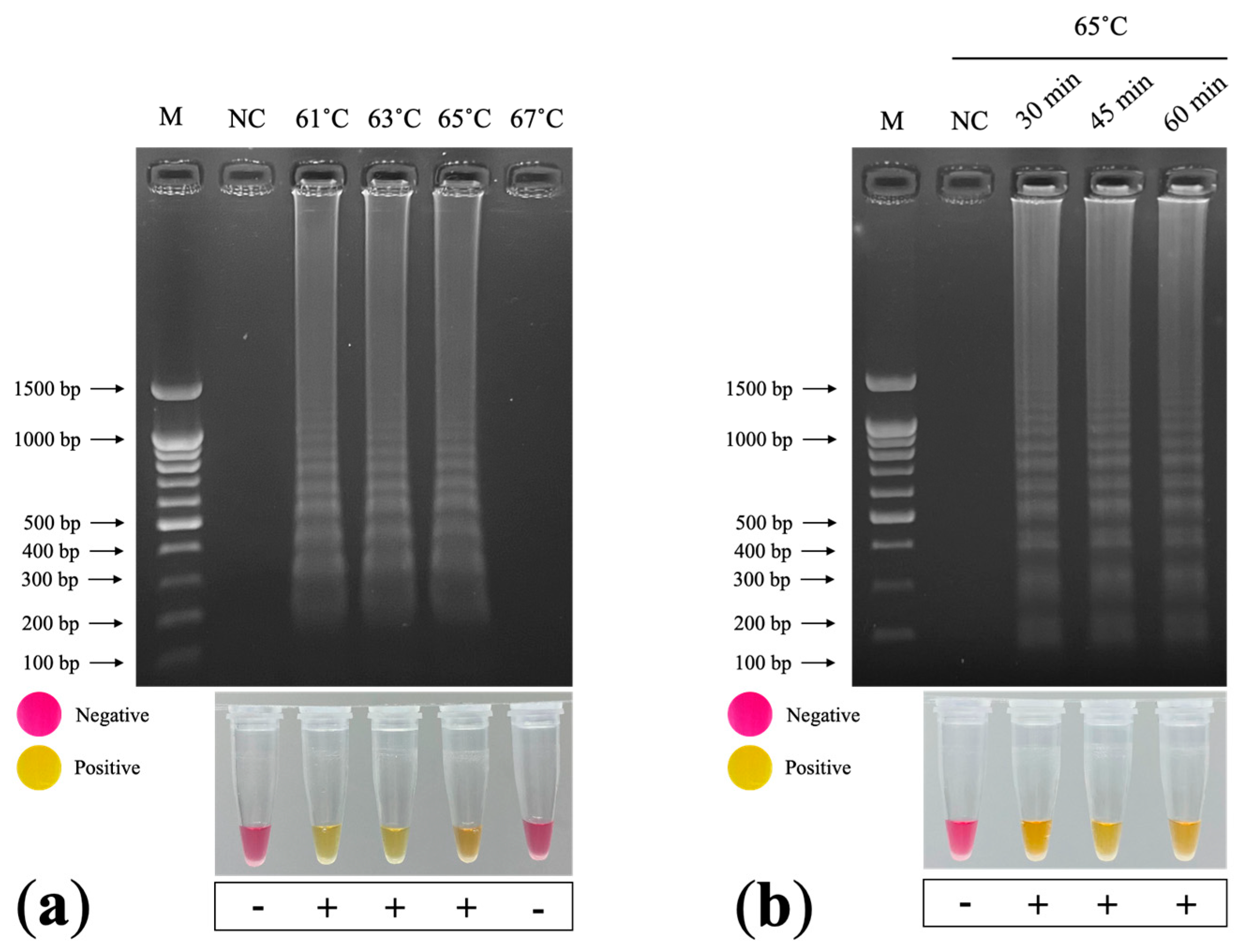 Plants 11 01788 g005 Plants 11 01788 g005