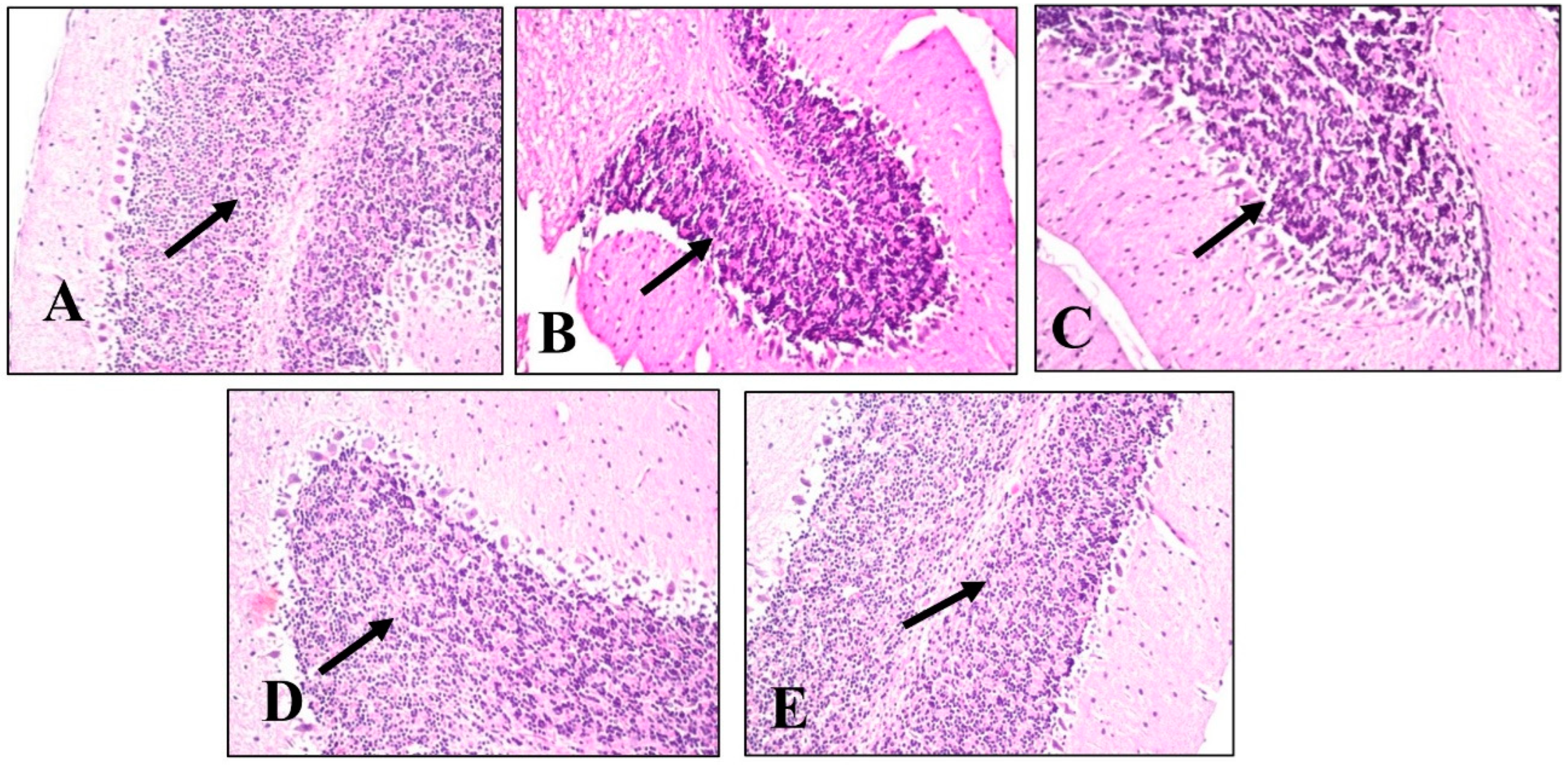 Plants 11 01792 g010