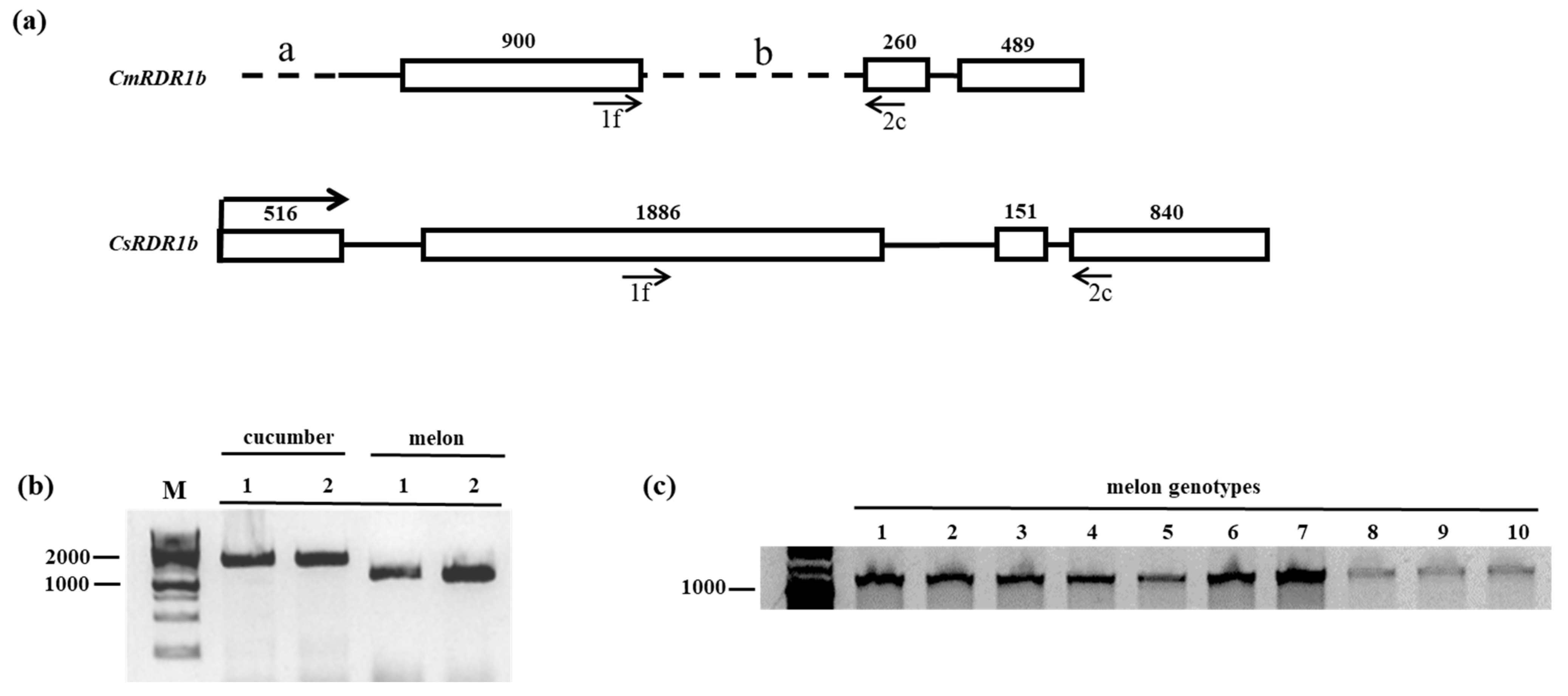 Plants 11 01795 g002