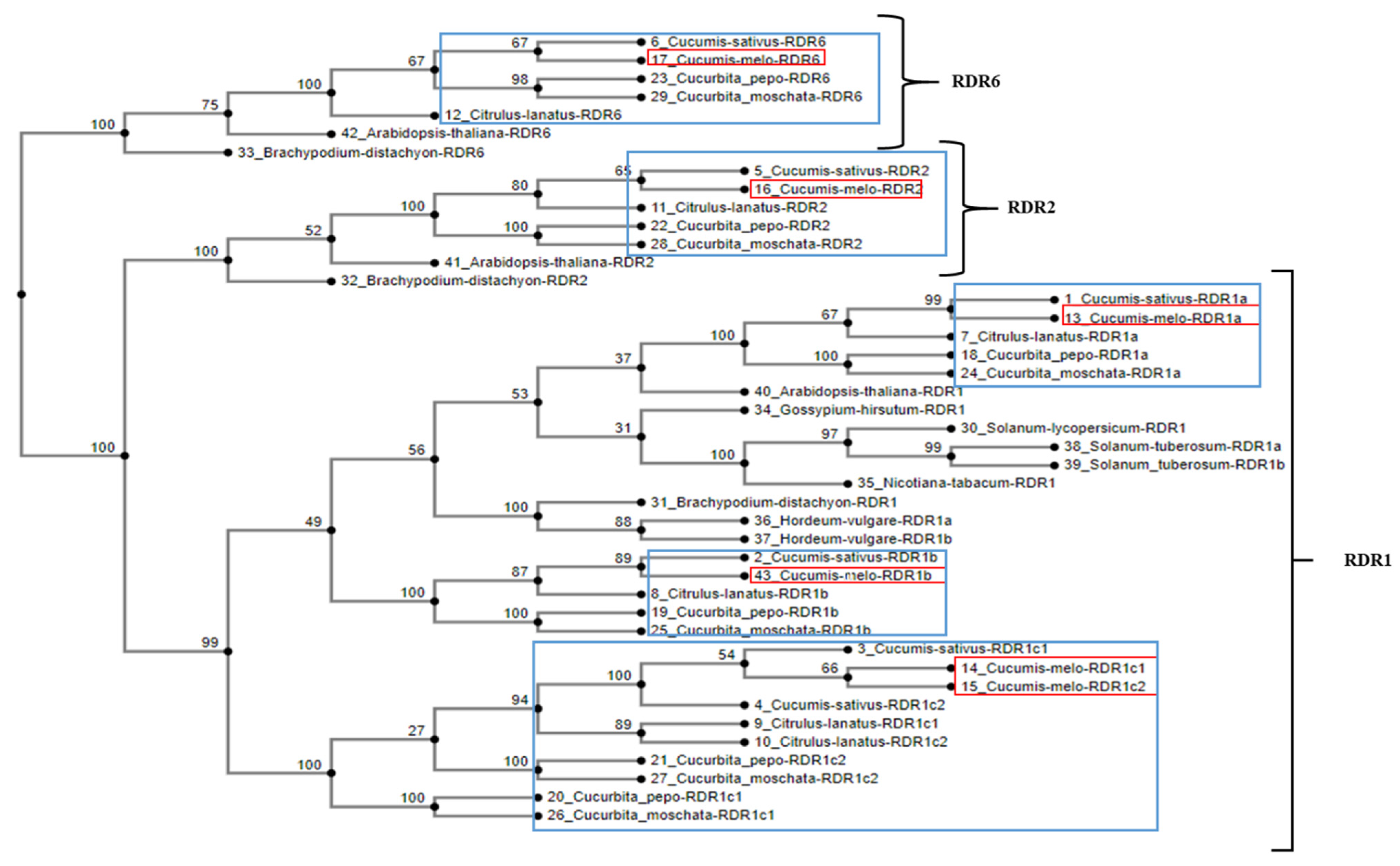 Plants 11 01795 g003