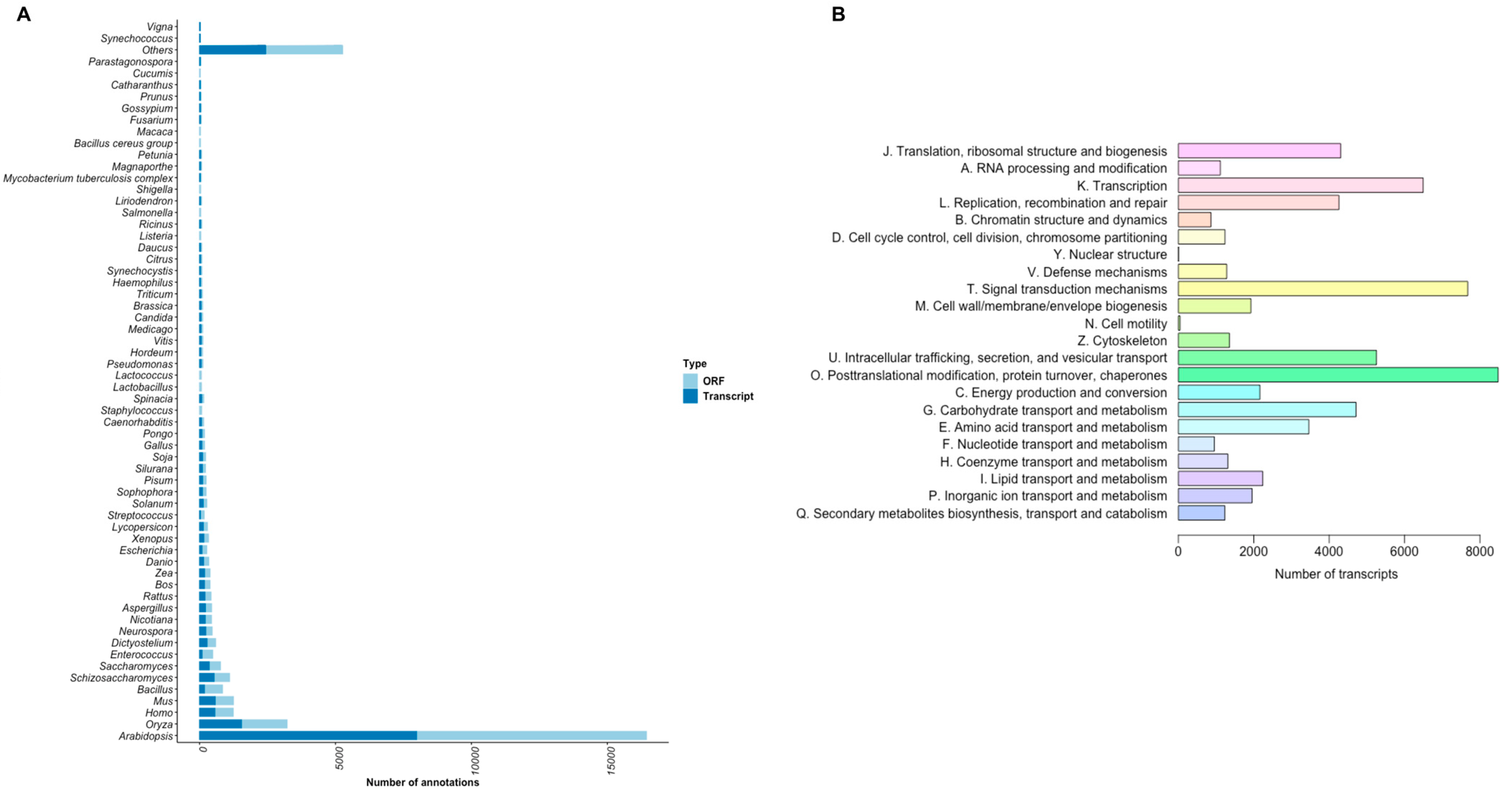 Plants 11 01798 g002 Plants 11 01798 g002