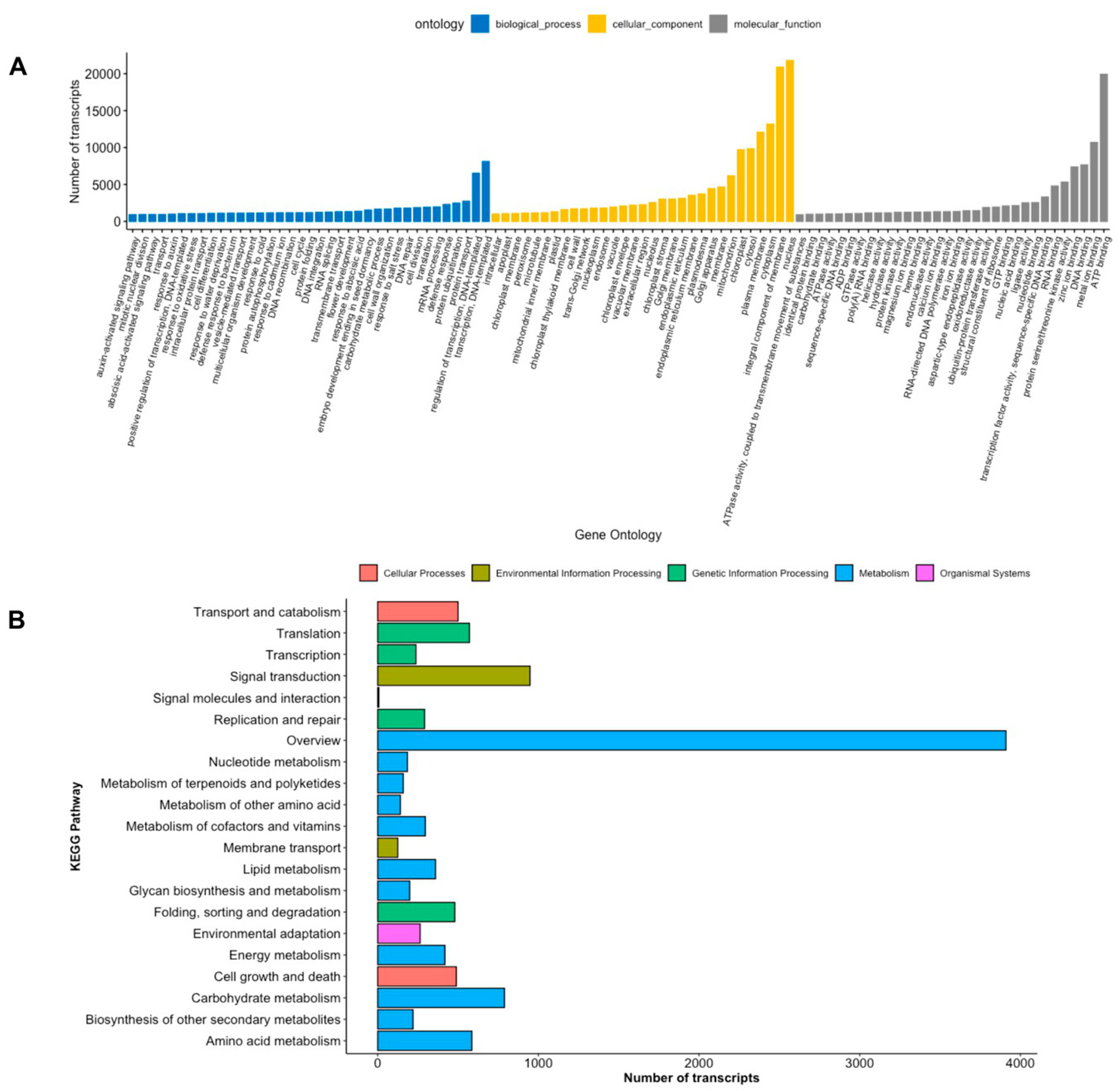 Plants 11 01798 g003 Plants 11 01798 g003