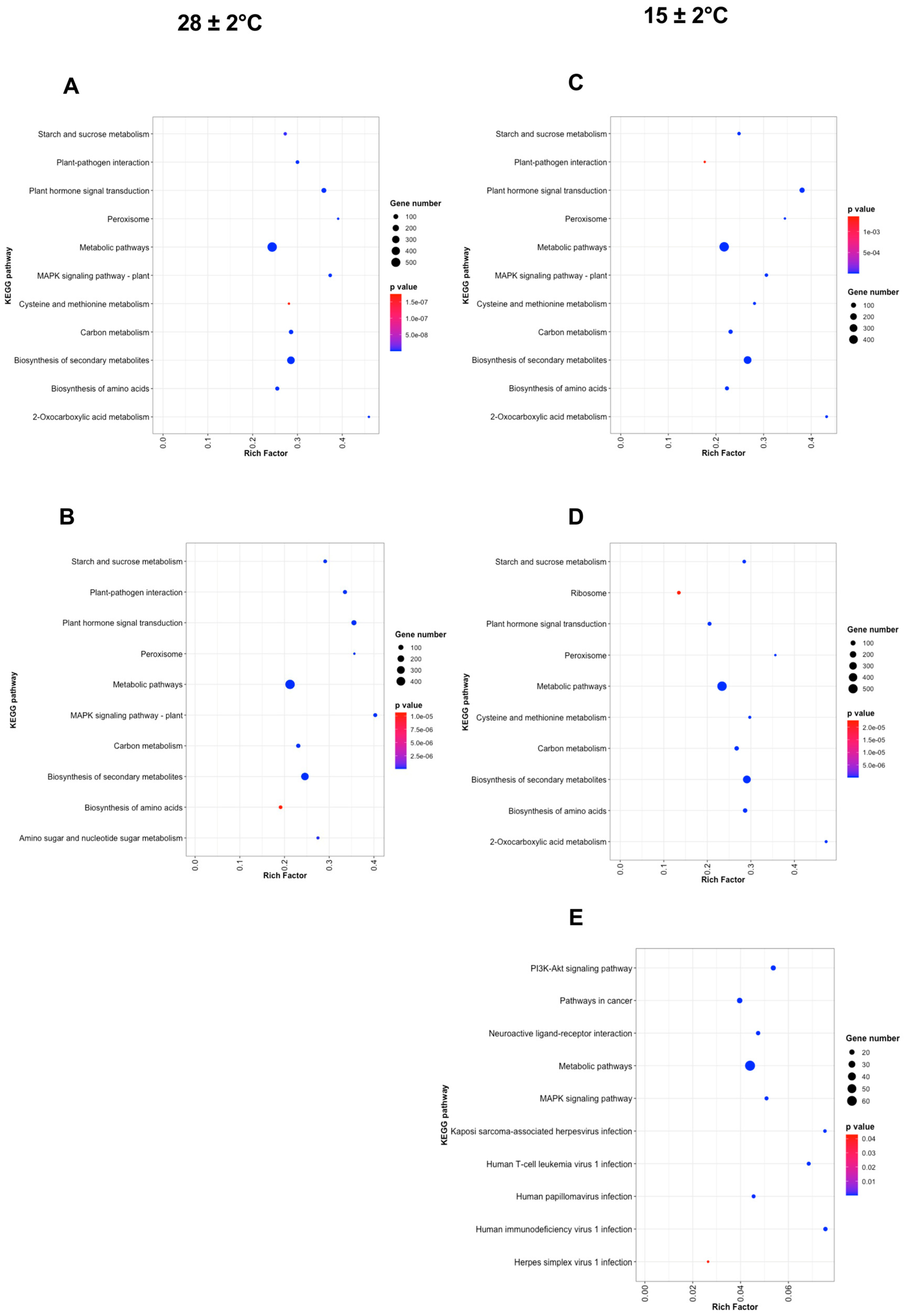 Plants 11 01798 g007 Plants 11 01798 g007