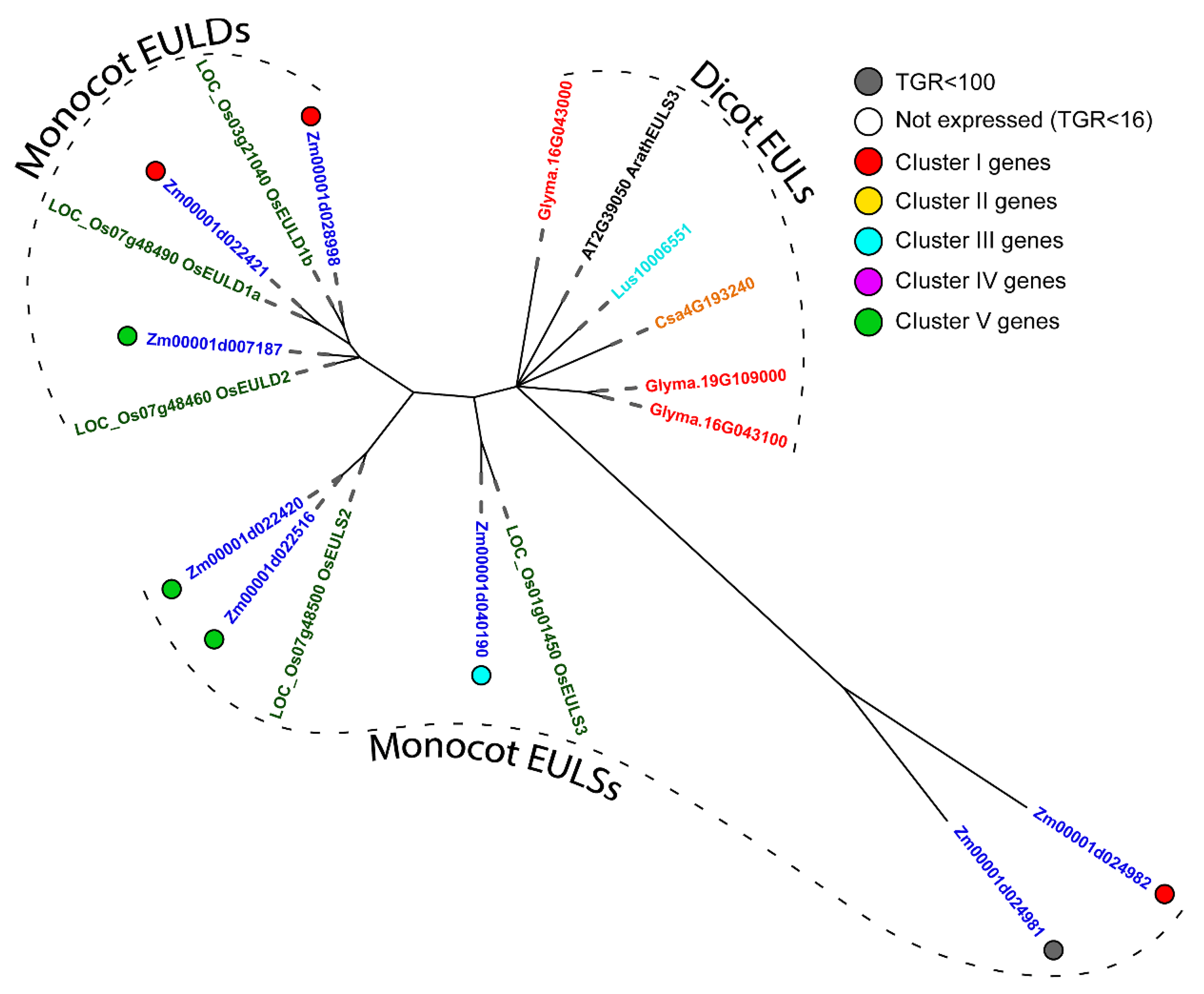 Plants 11 01799 g002 Plants 11 01799 g002