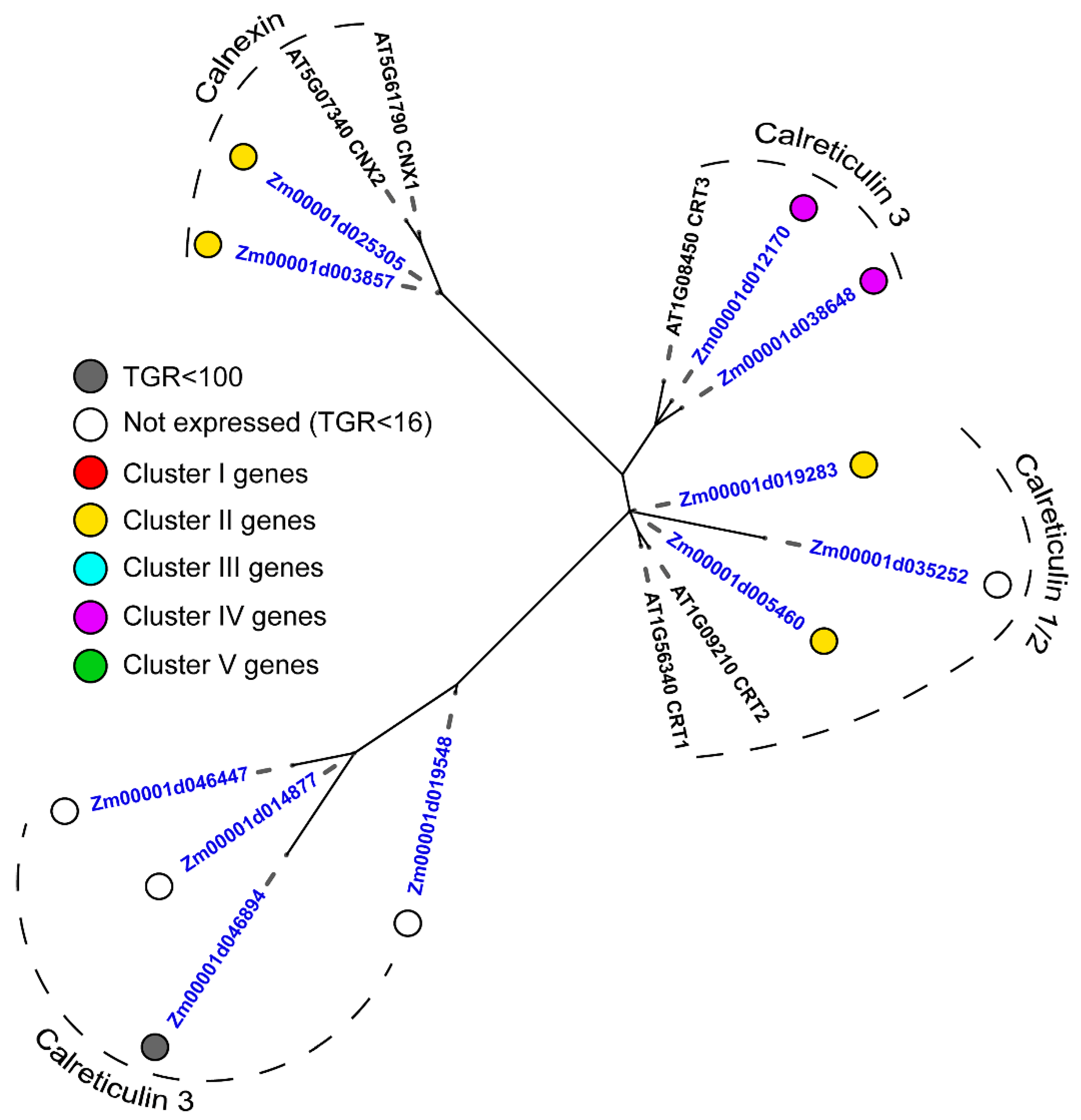 Plants 11 01799 g003 Plants 11 01799 g003