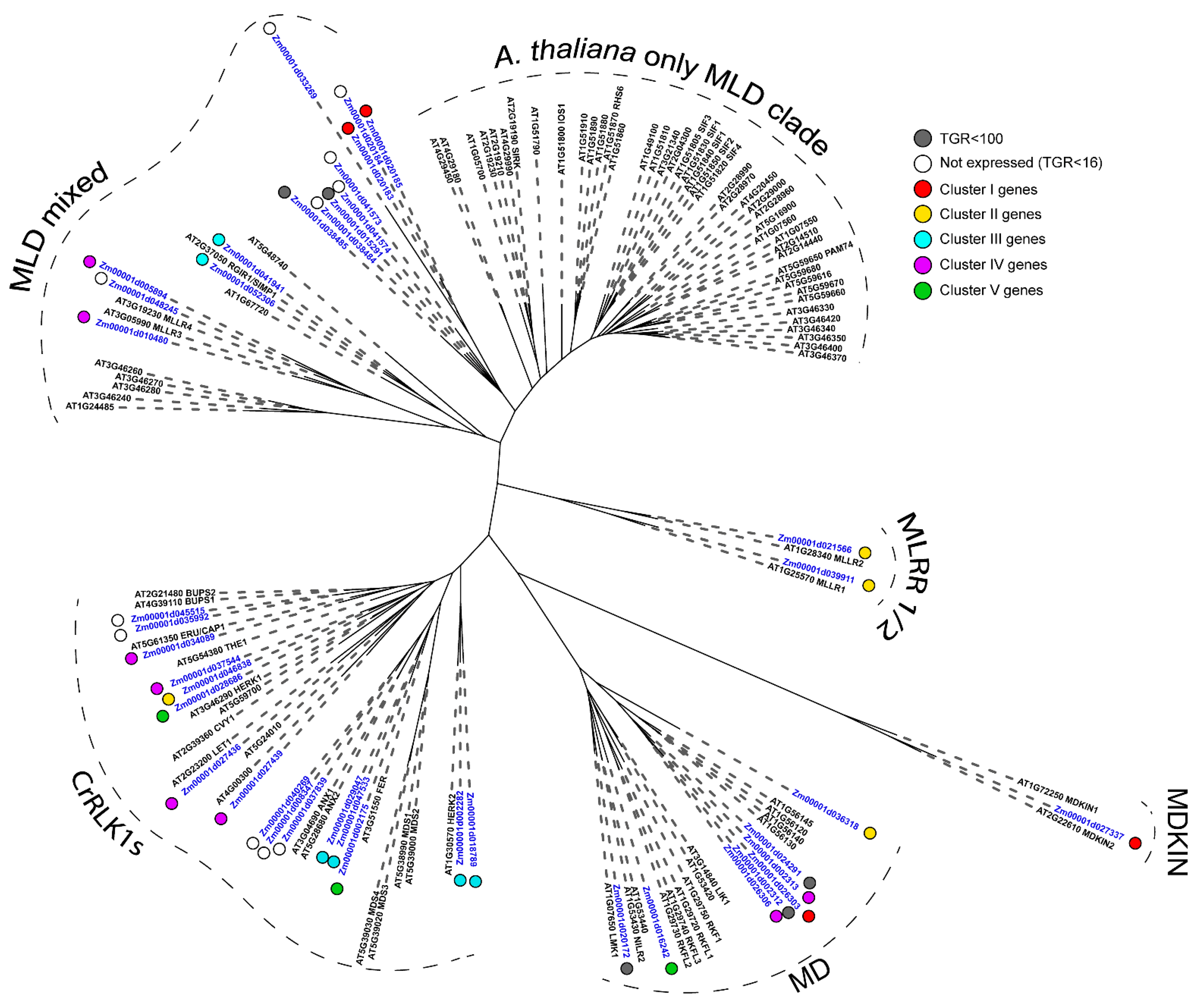 Plants 11 01799 g004 Plants 11 01799 g004