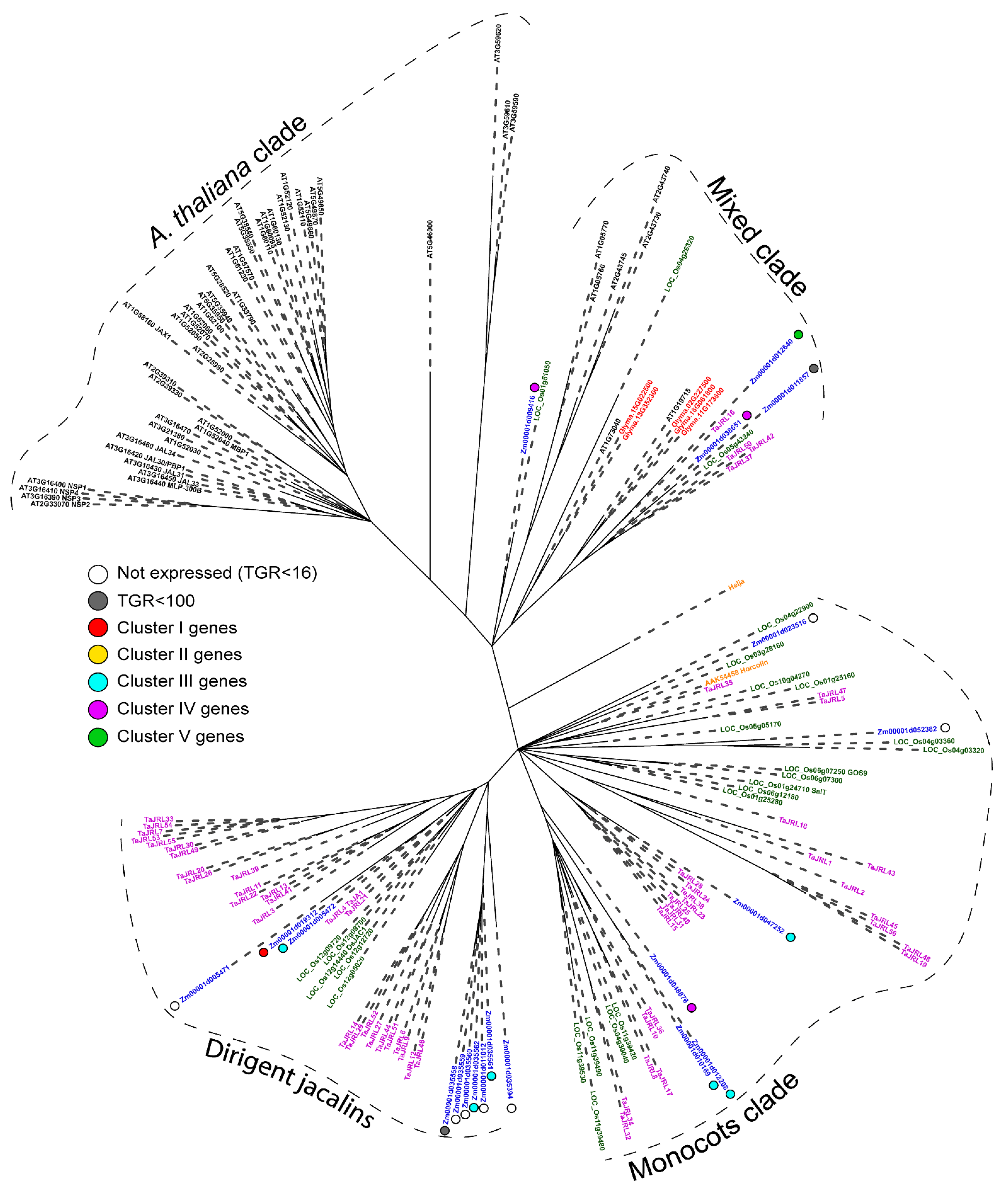 Plants 11 01799 g005 Plants 11 01799 g005