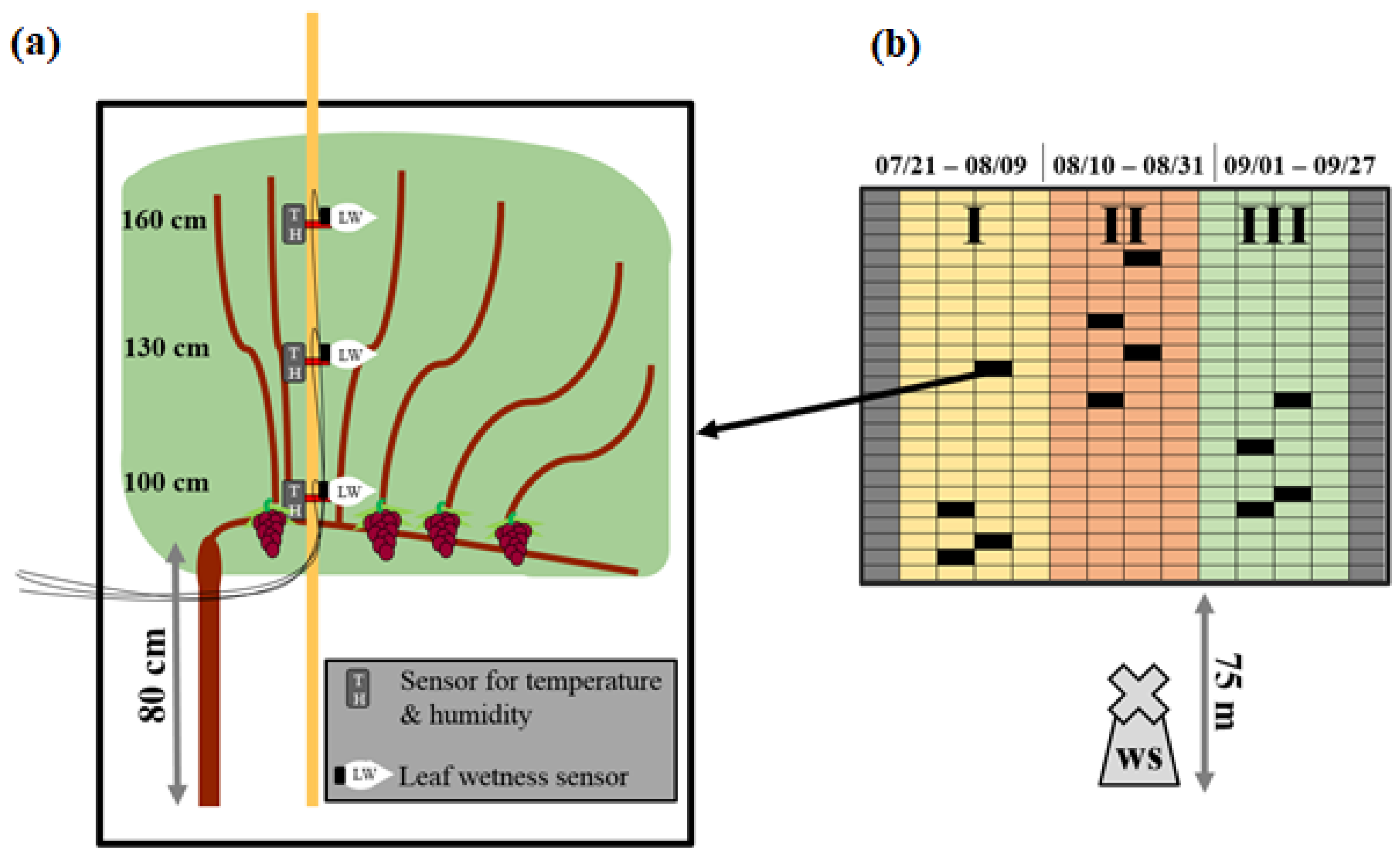 Plants 11 01807 g001 550