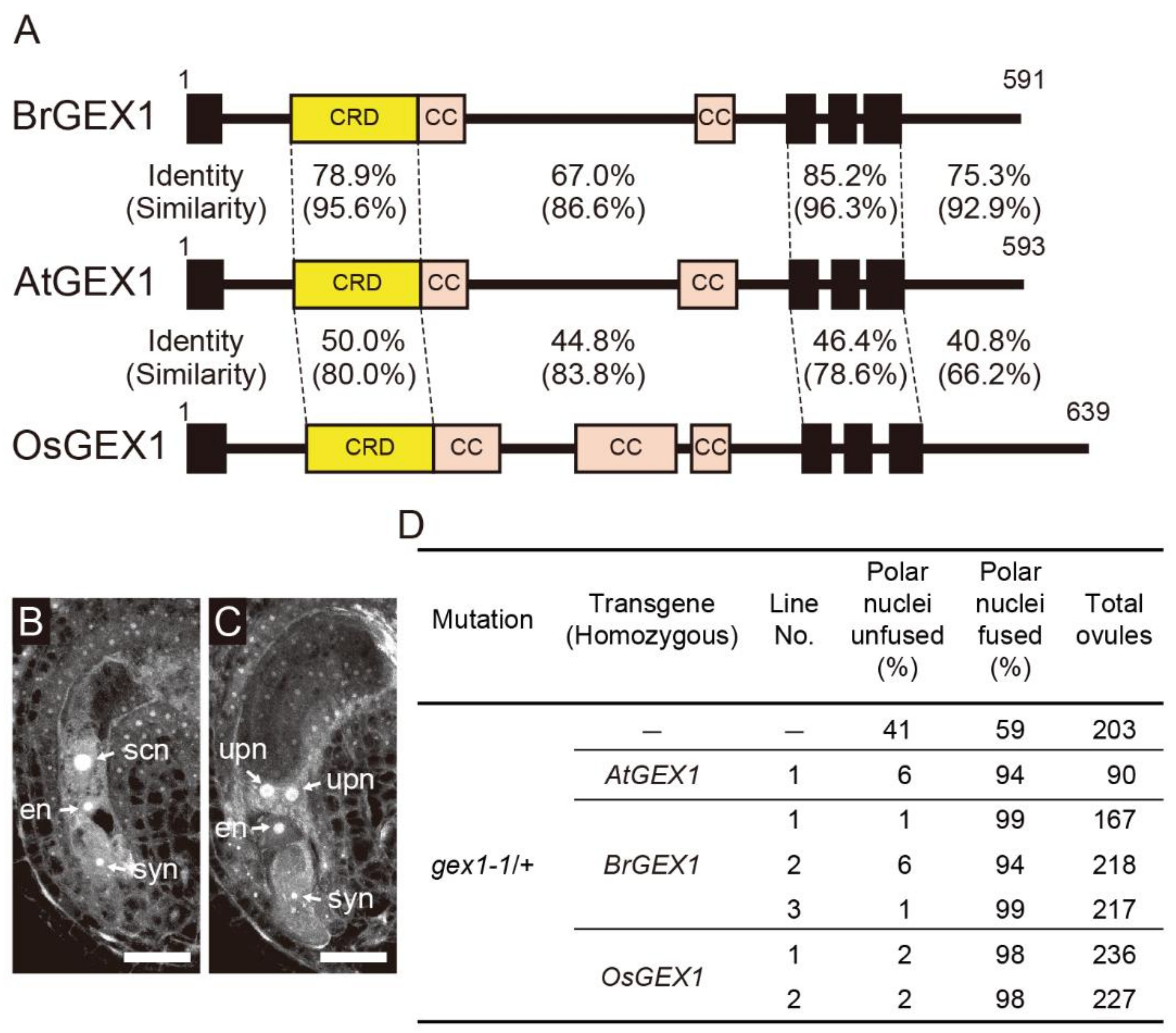 Plants 11 01808 g001 550