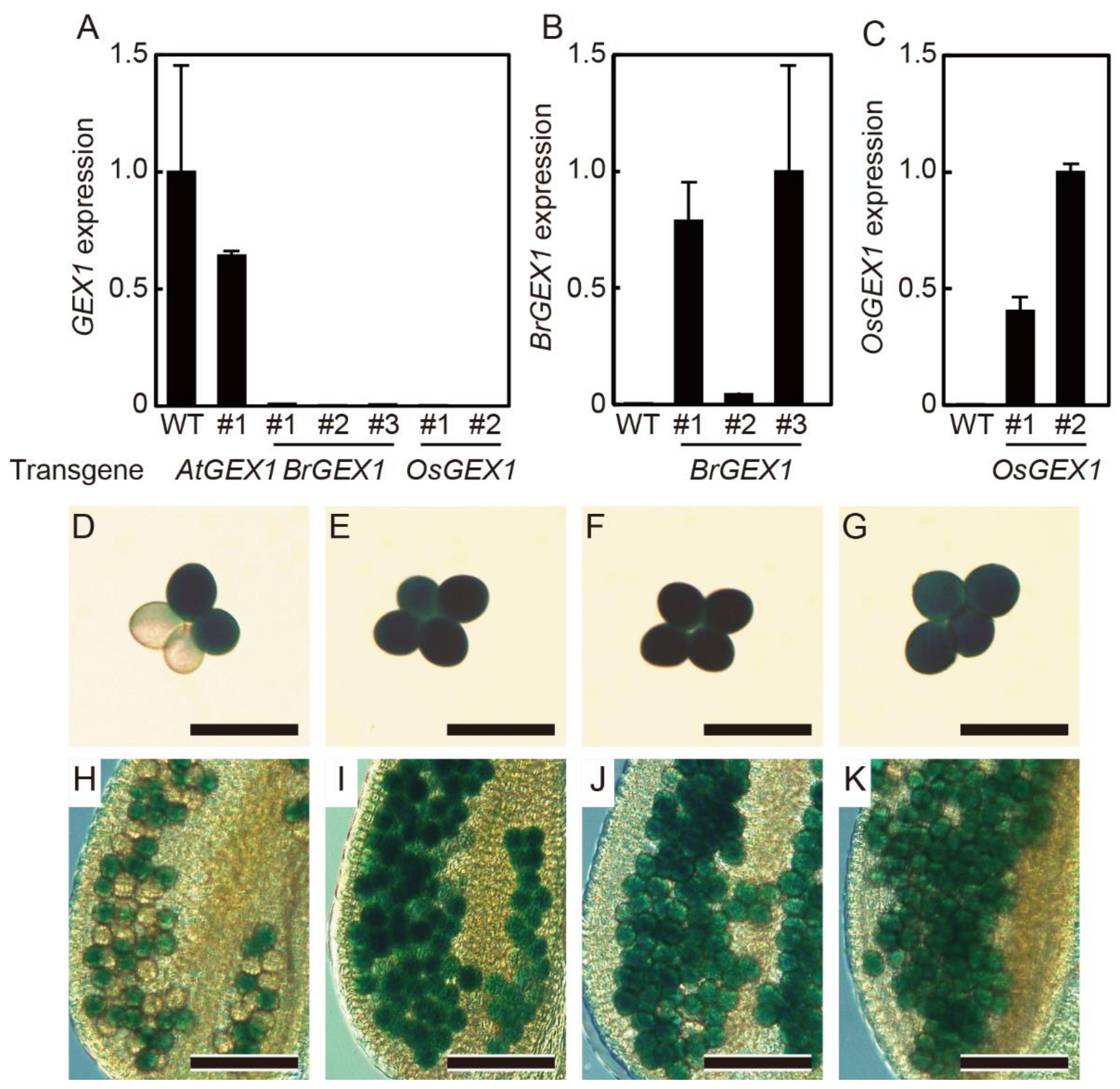 Plants 11 01808 g002 550