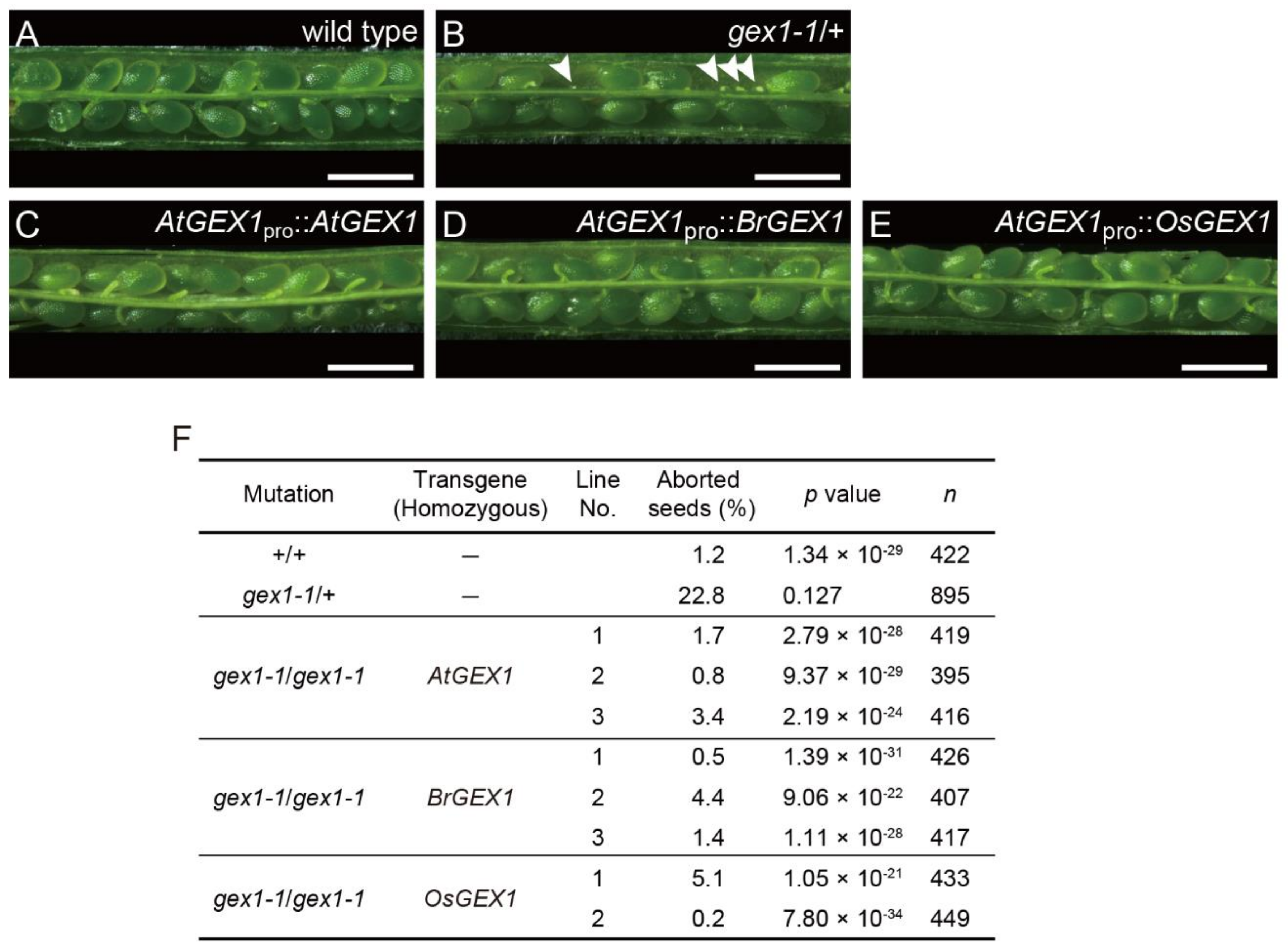 Plants 11 01808 g003 550