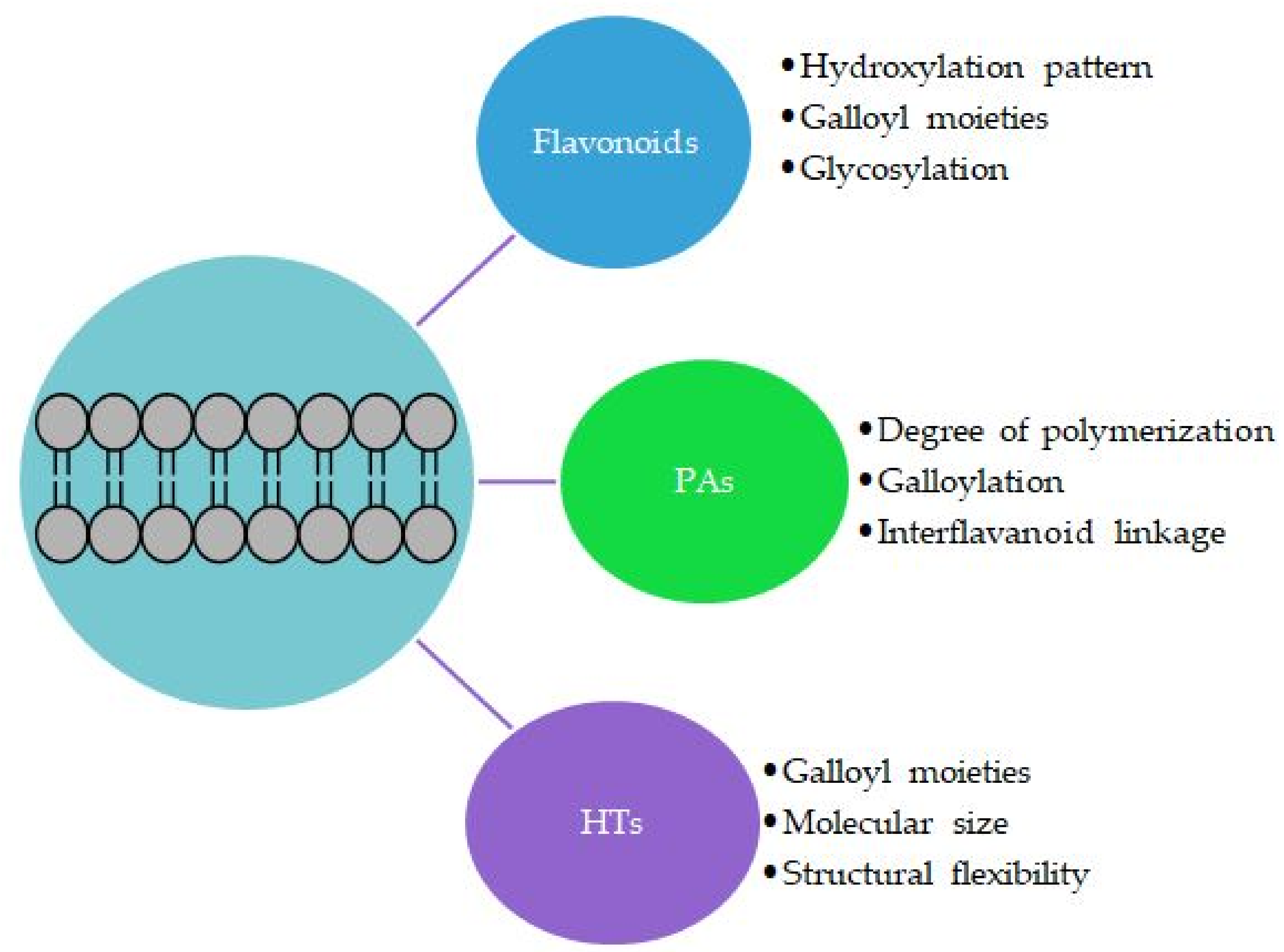 Plants 11 01809 g005