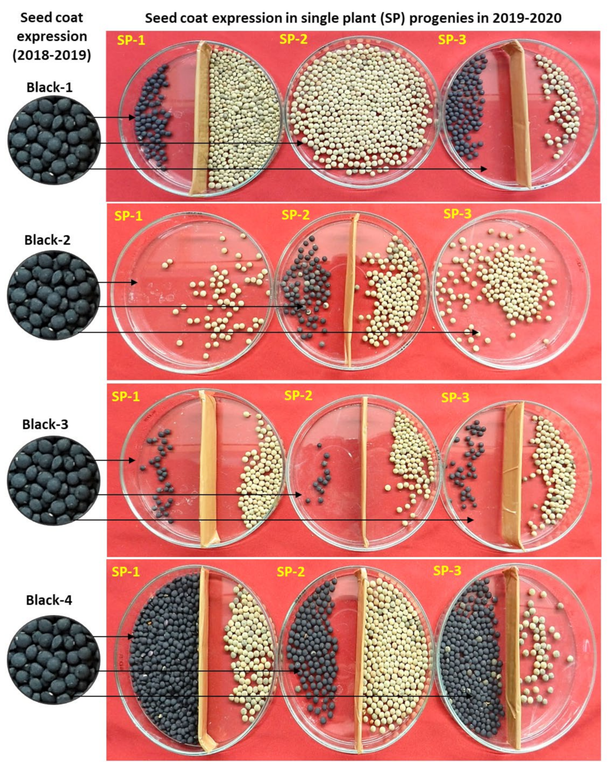 Plants 11 01815 g003