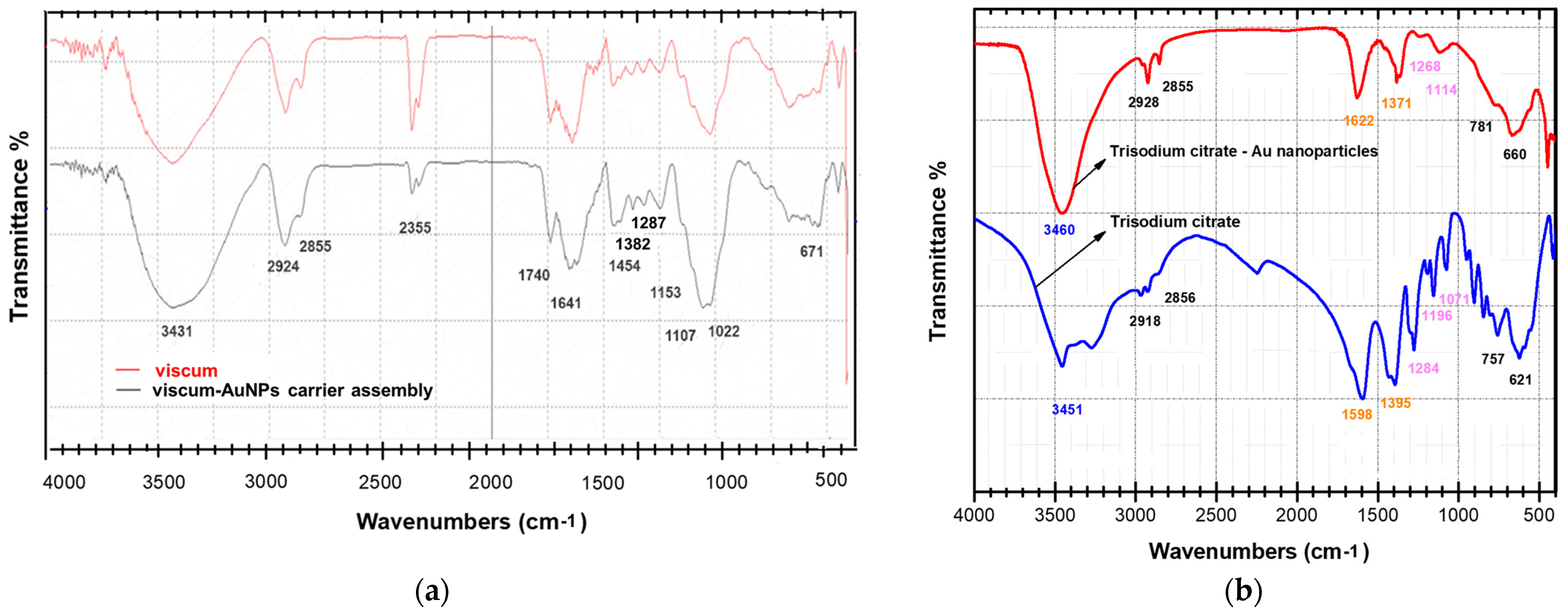 Plants 11 01820 g003