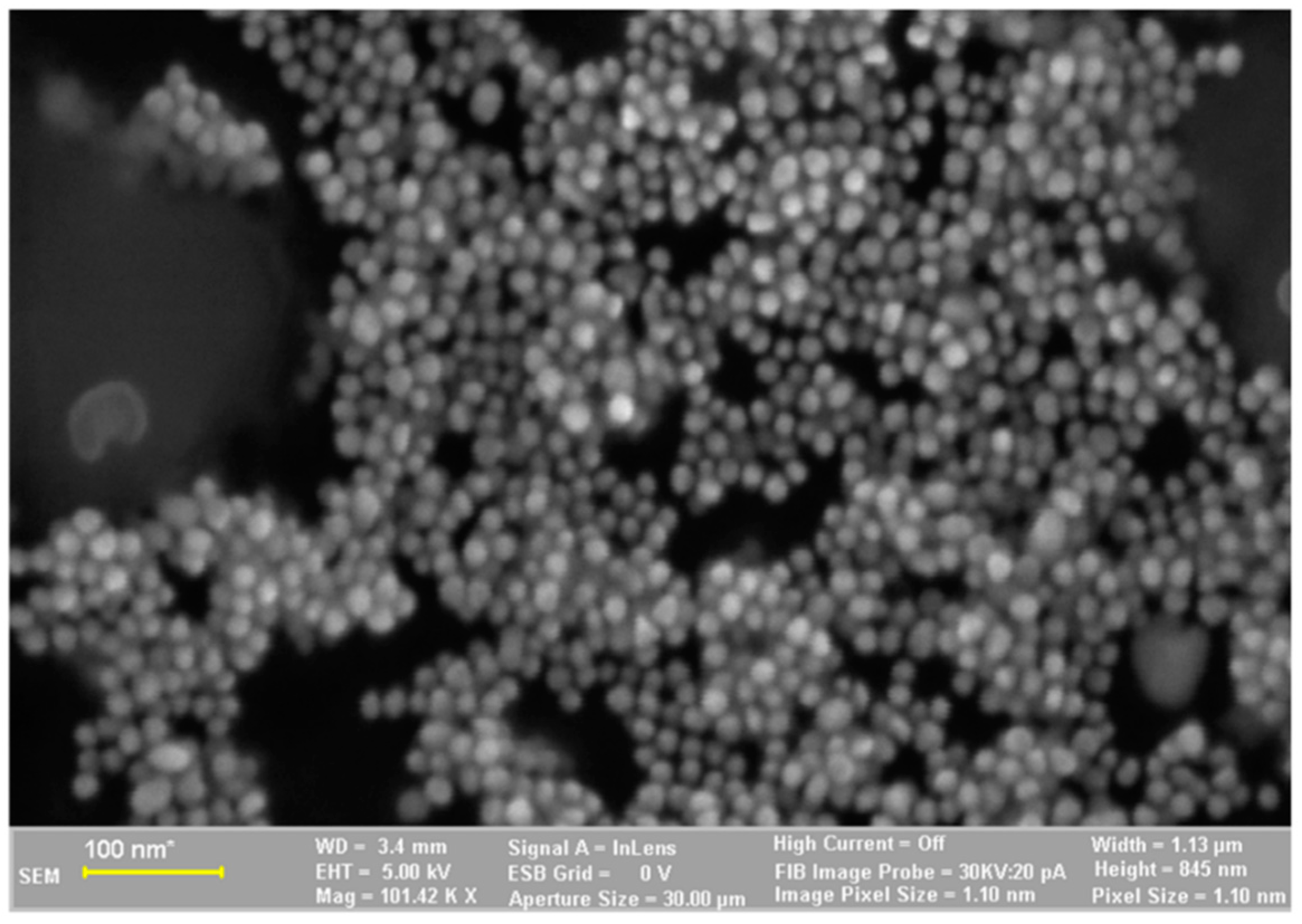 Plants 11 01820 g005