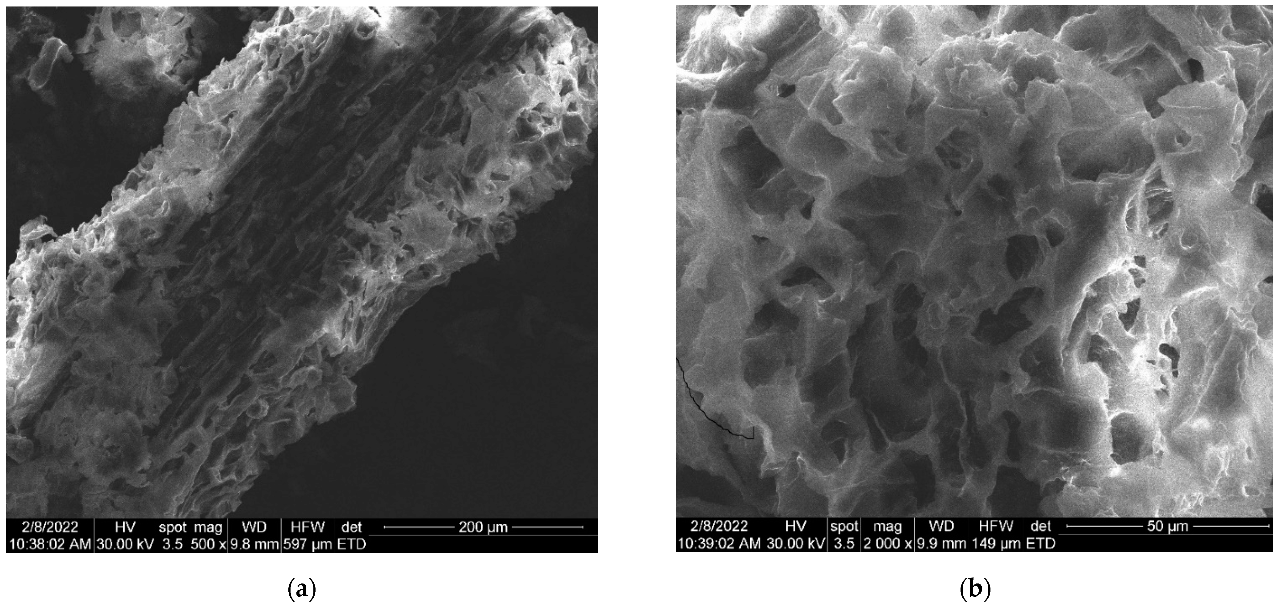 Plants 11 01820 g006