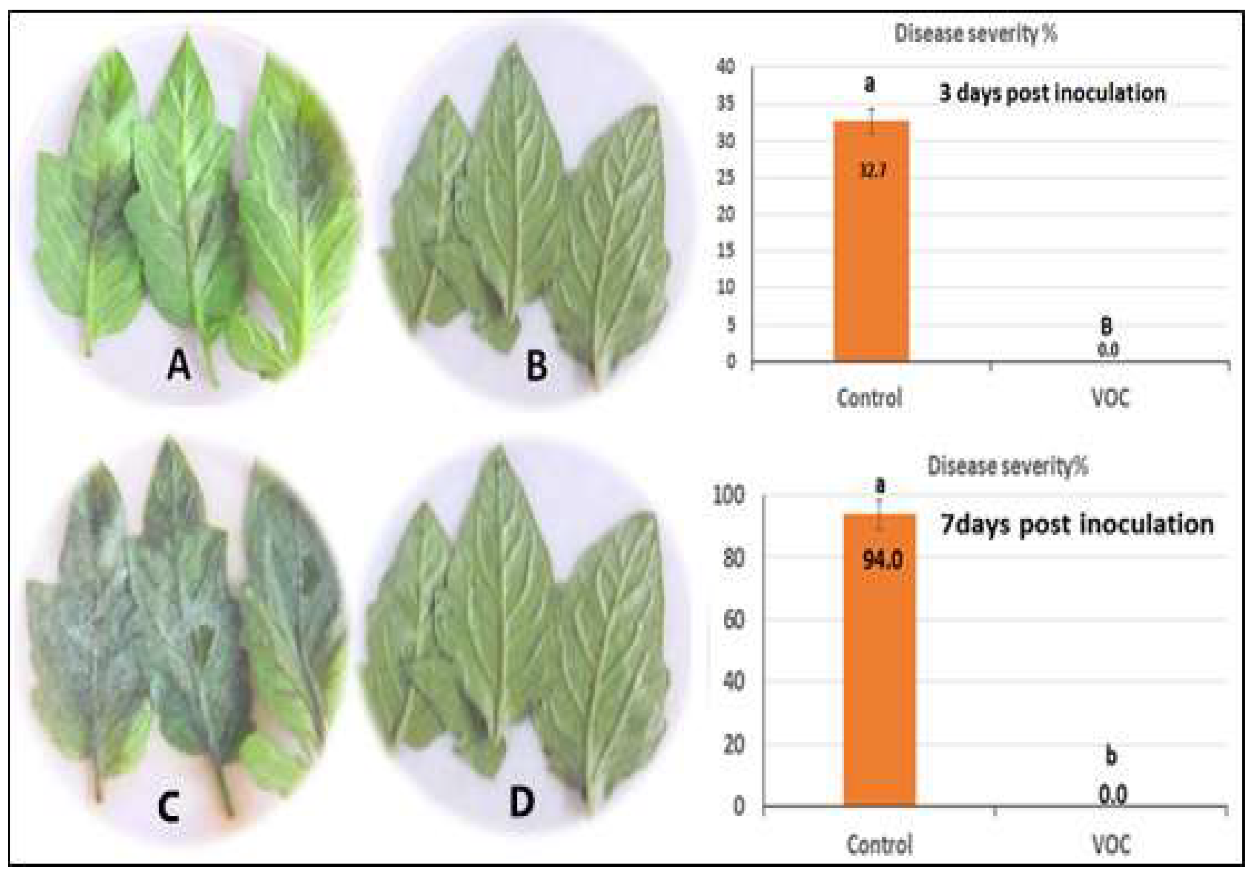 Plants 11 01824 g006