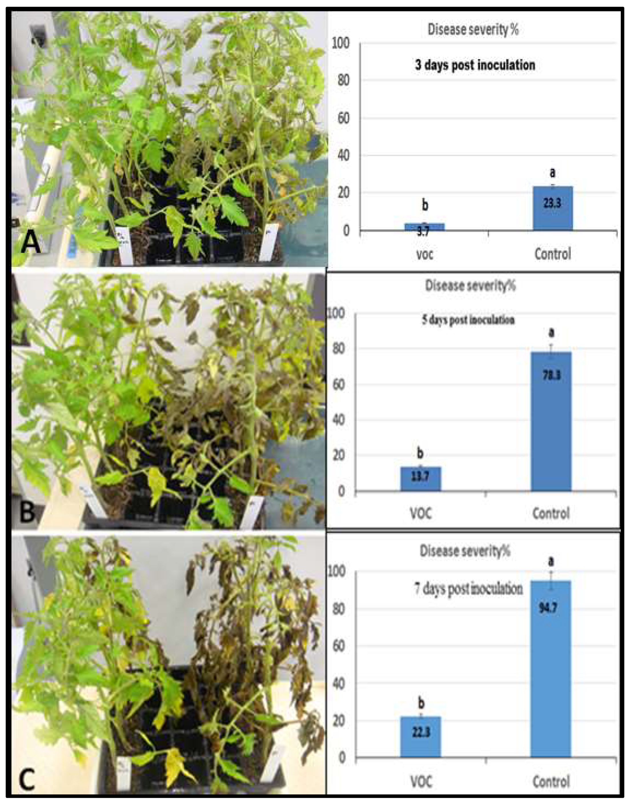 Plants 11 01824 g007