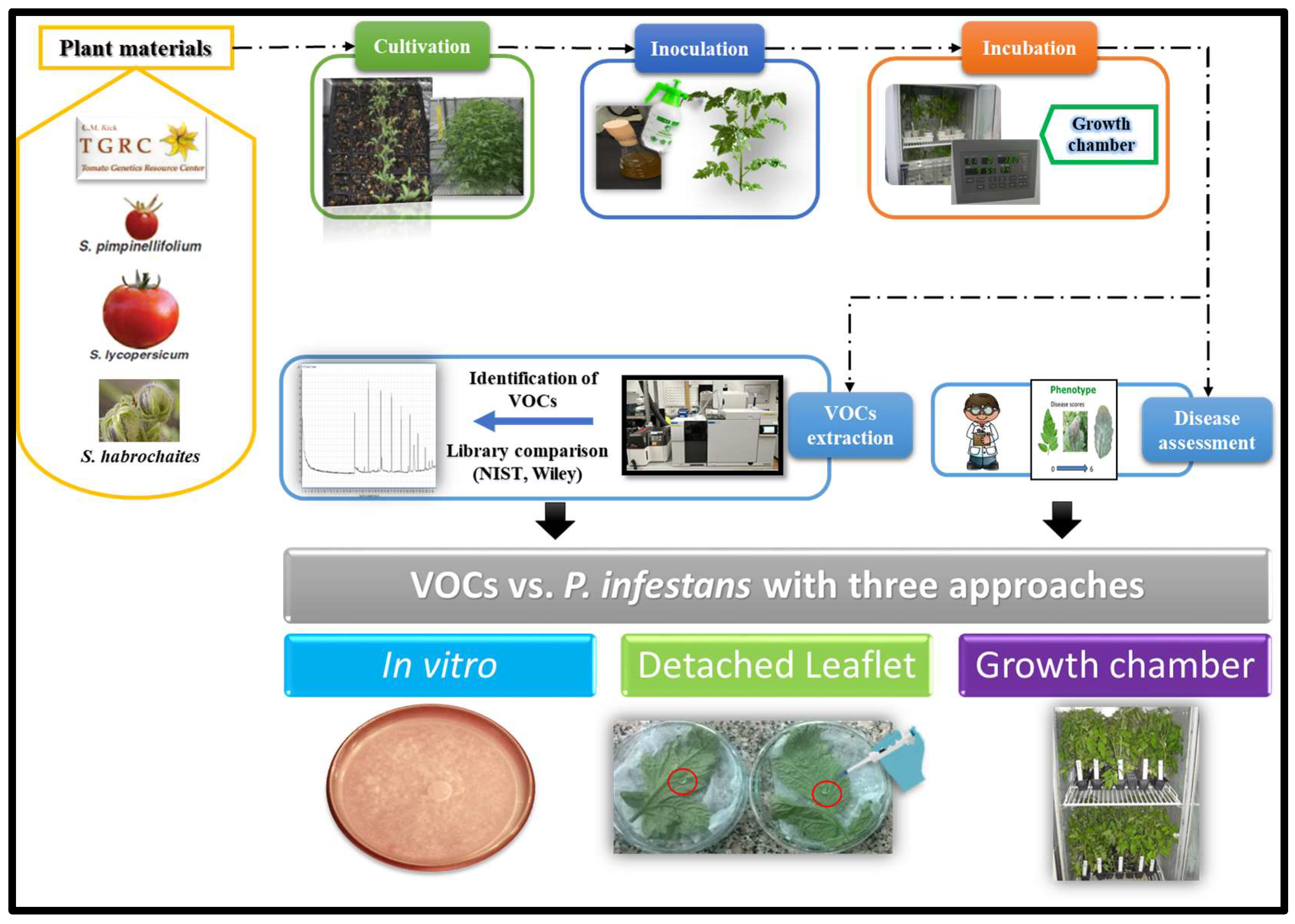 Plants 11 01824 g008