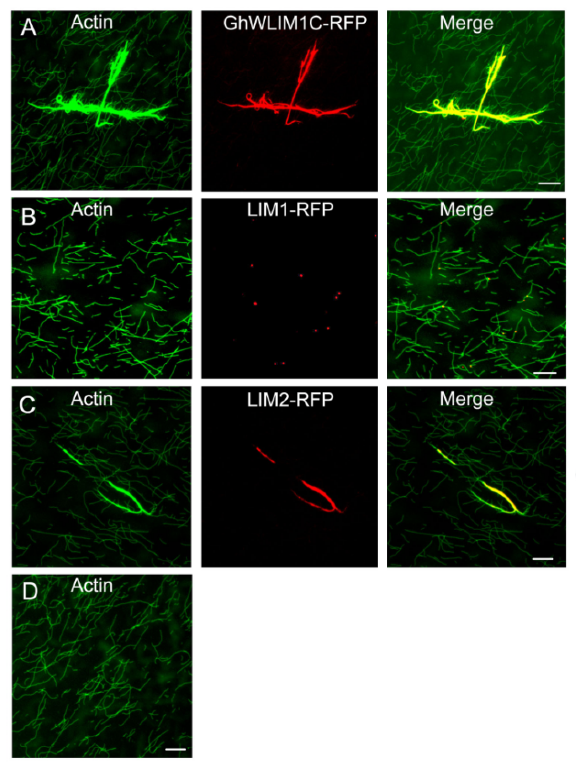 Plants 11 01828 g005 550