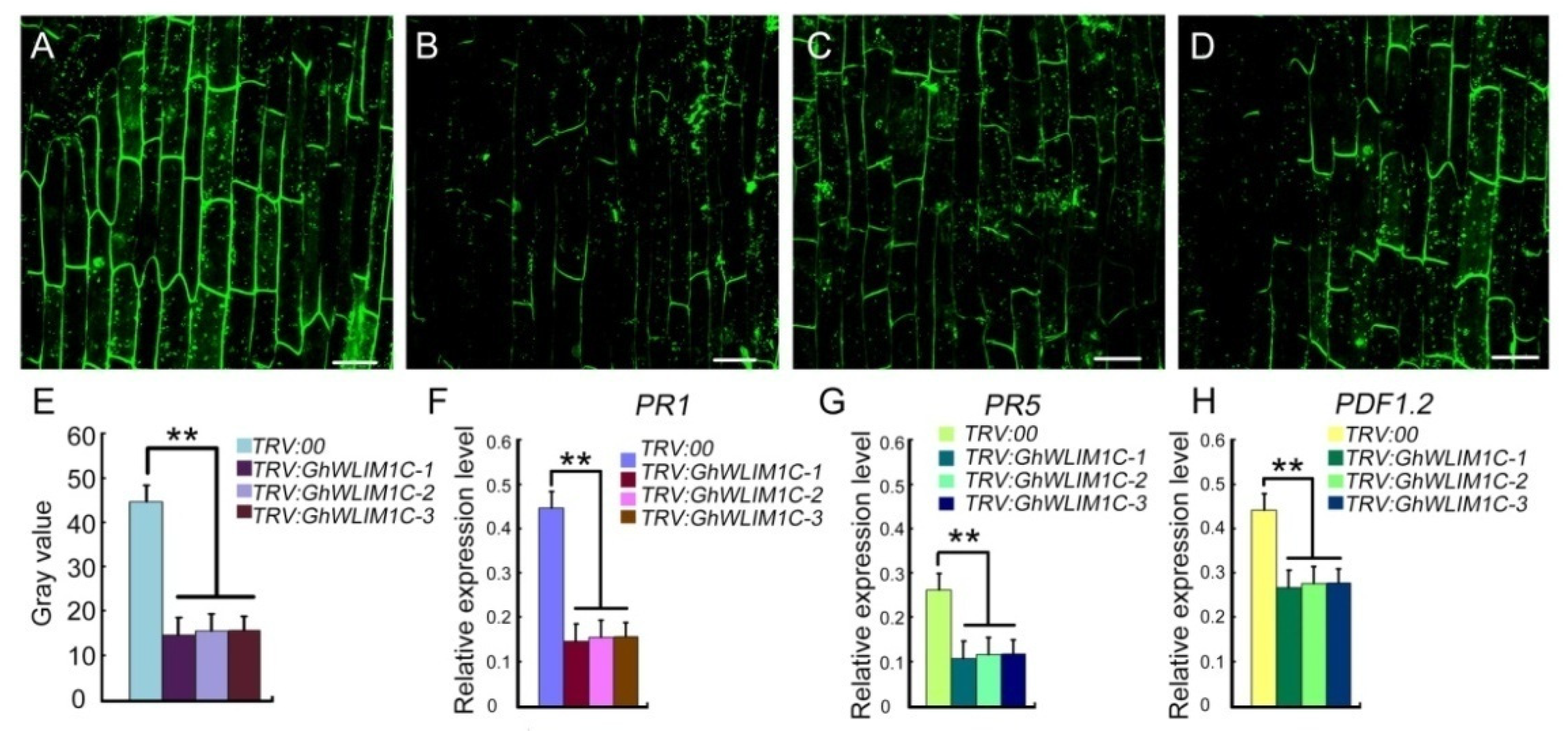 Plants 11 01828 g006 550