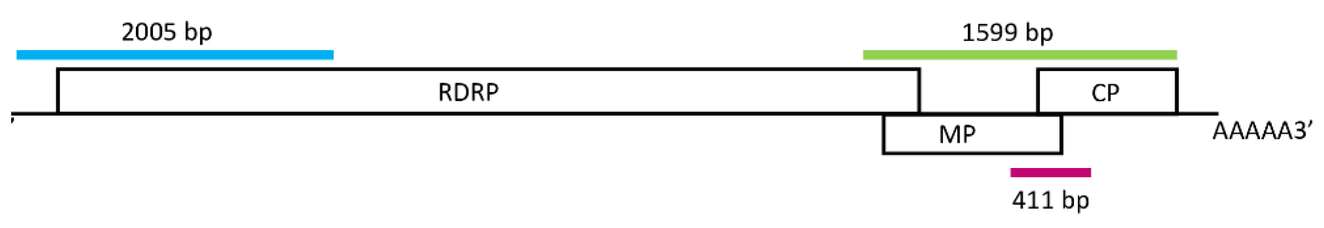 Plants 11 01830 g002 550