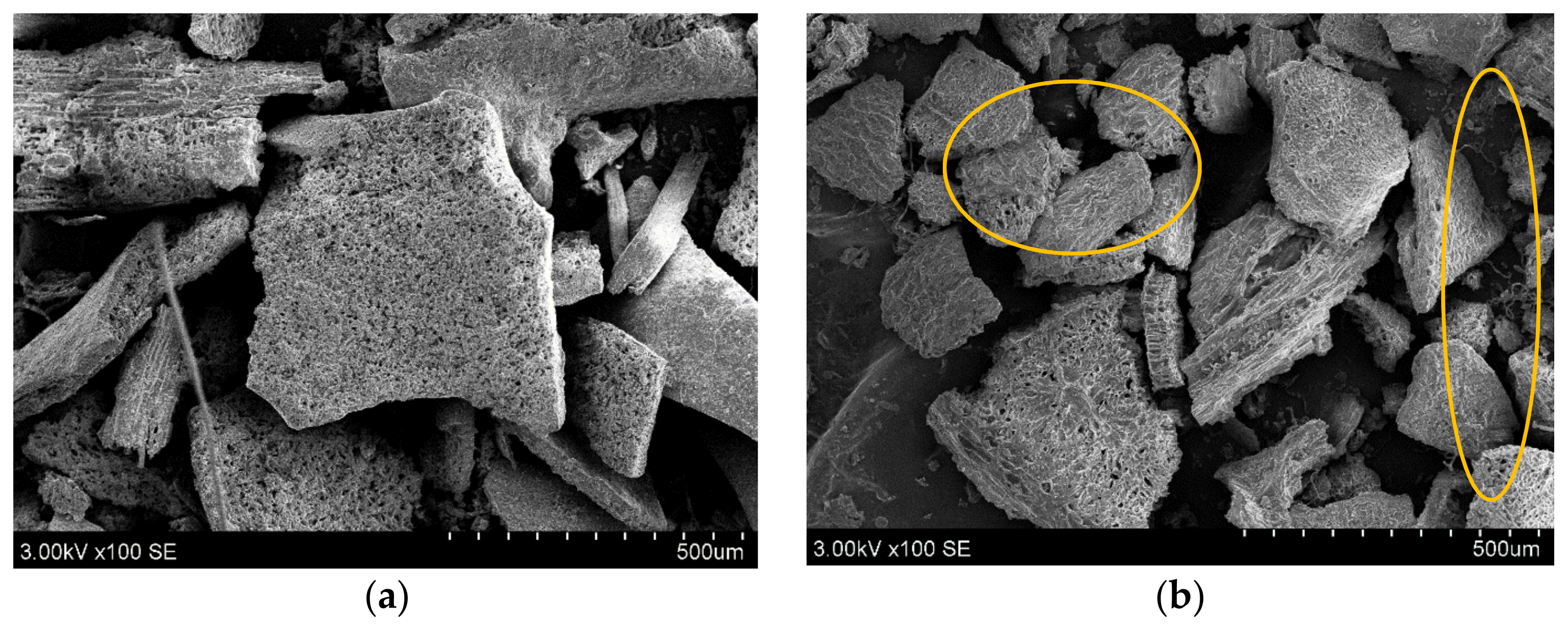 Plants 11 01833 g001a 550