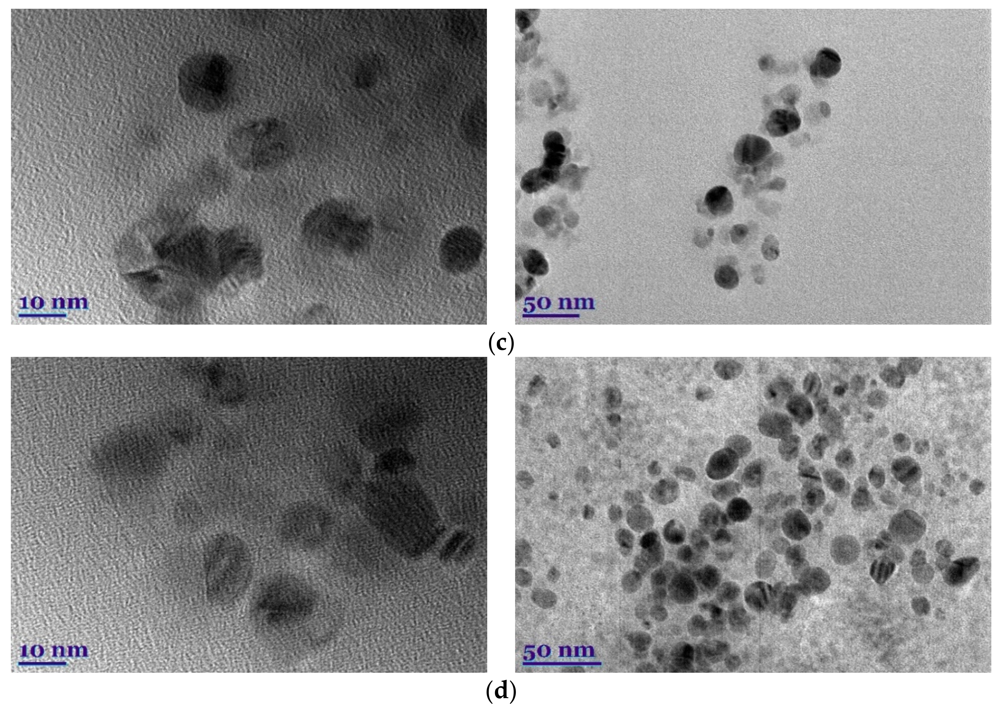 Plants 11 01833 g002b 550