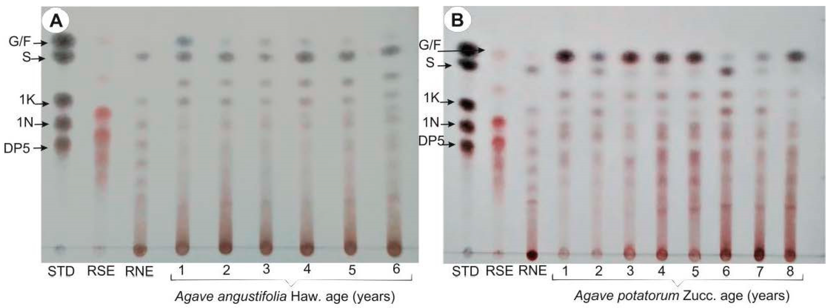 Plants 11 01834 g003