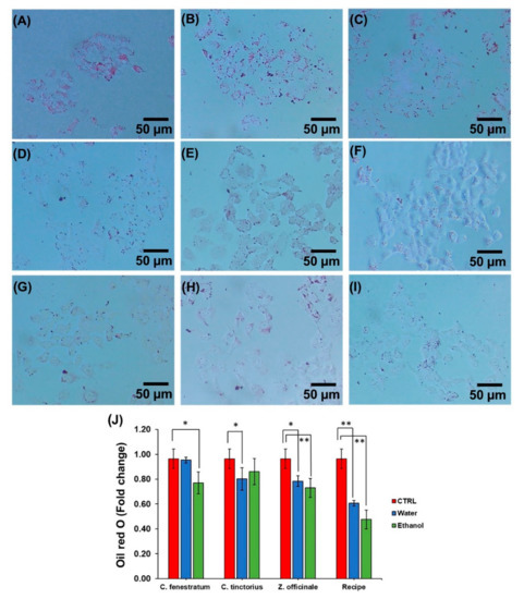 The Cholesterol-Modulating Effect of the New Herbal
