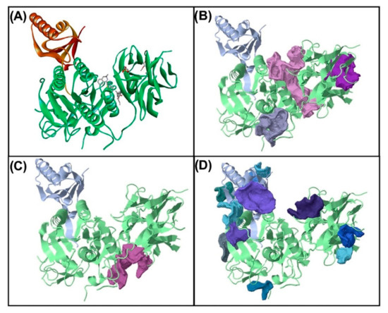 アイドル 8.26 Z/X -Zillions of enemy X- アイドル♪スプラッシュフェスタ