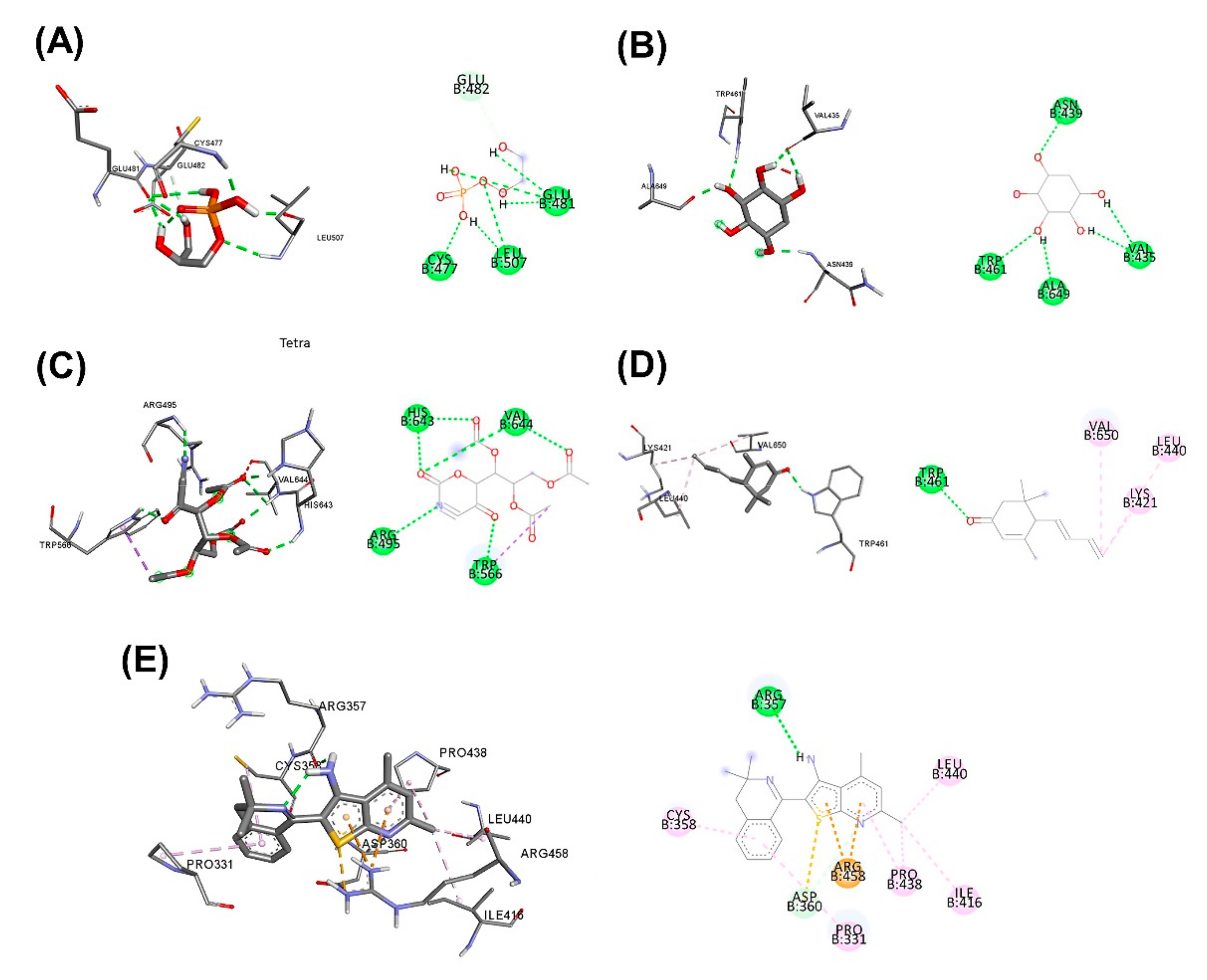 Plants 11 01835 g005 Plants 11 01835 g005