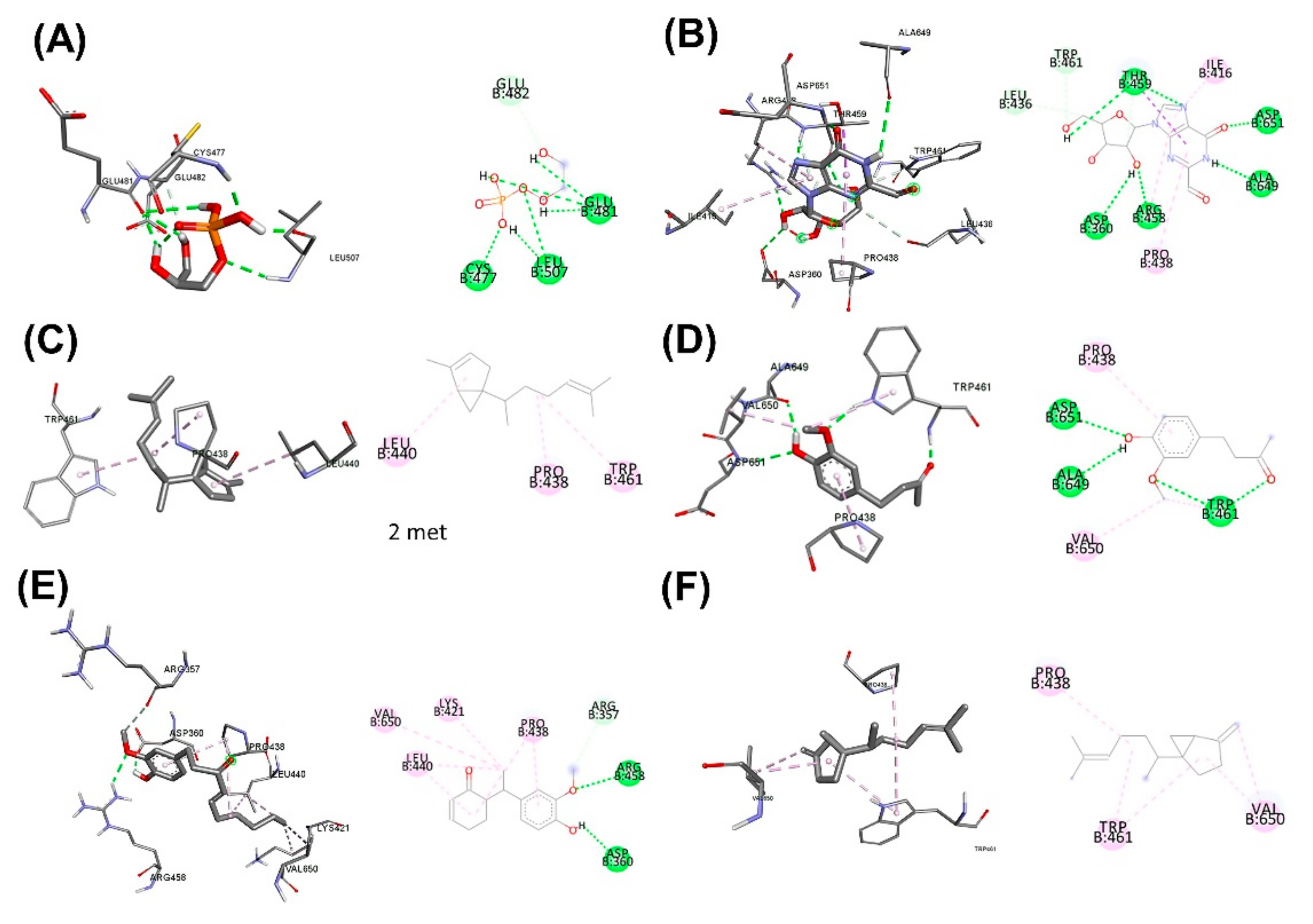 Plants 11 01835 g006 Plants 11 01835 g006