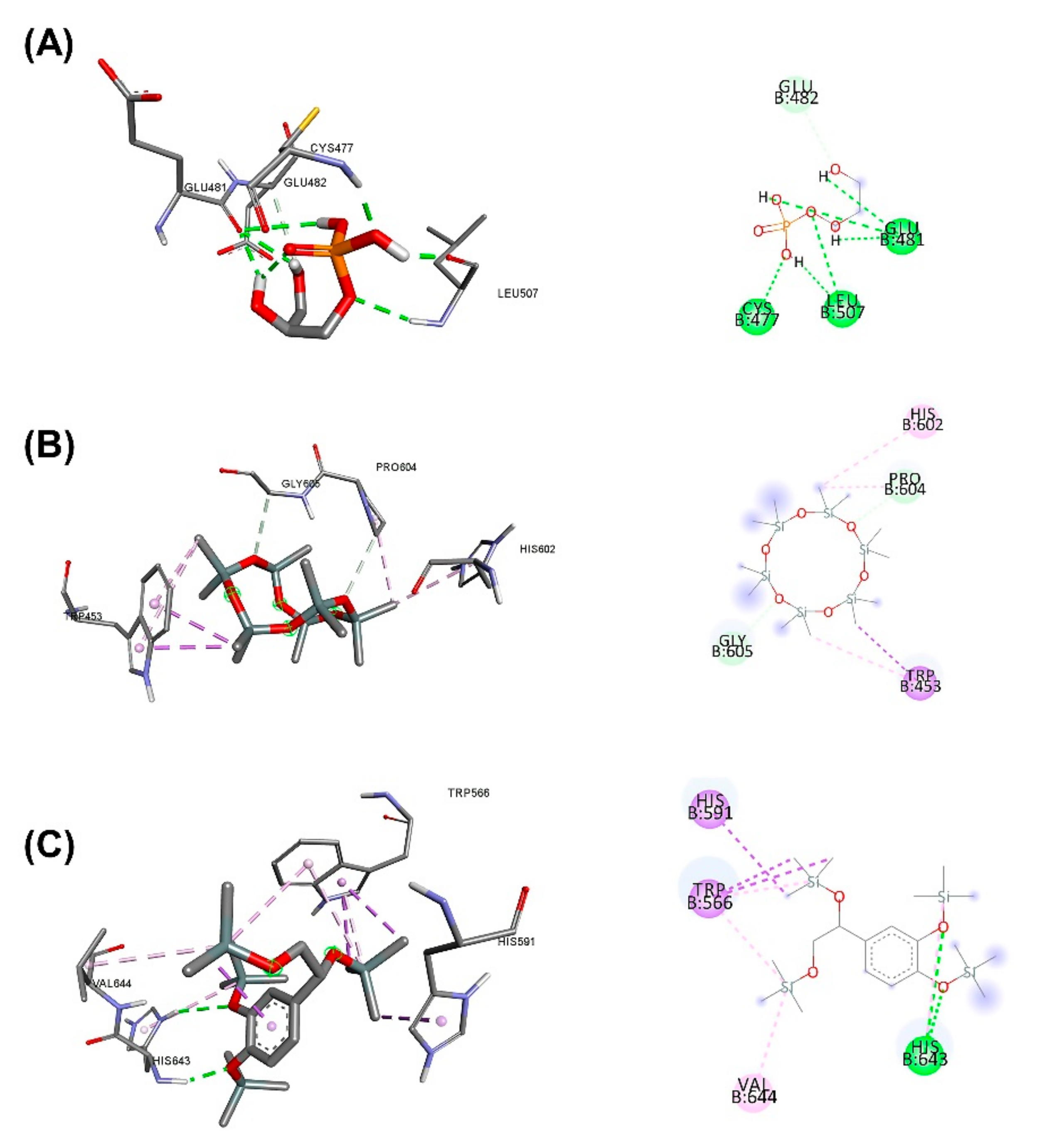 Plants 11 01835 g007 Plants 11 01835 g007