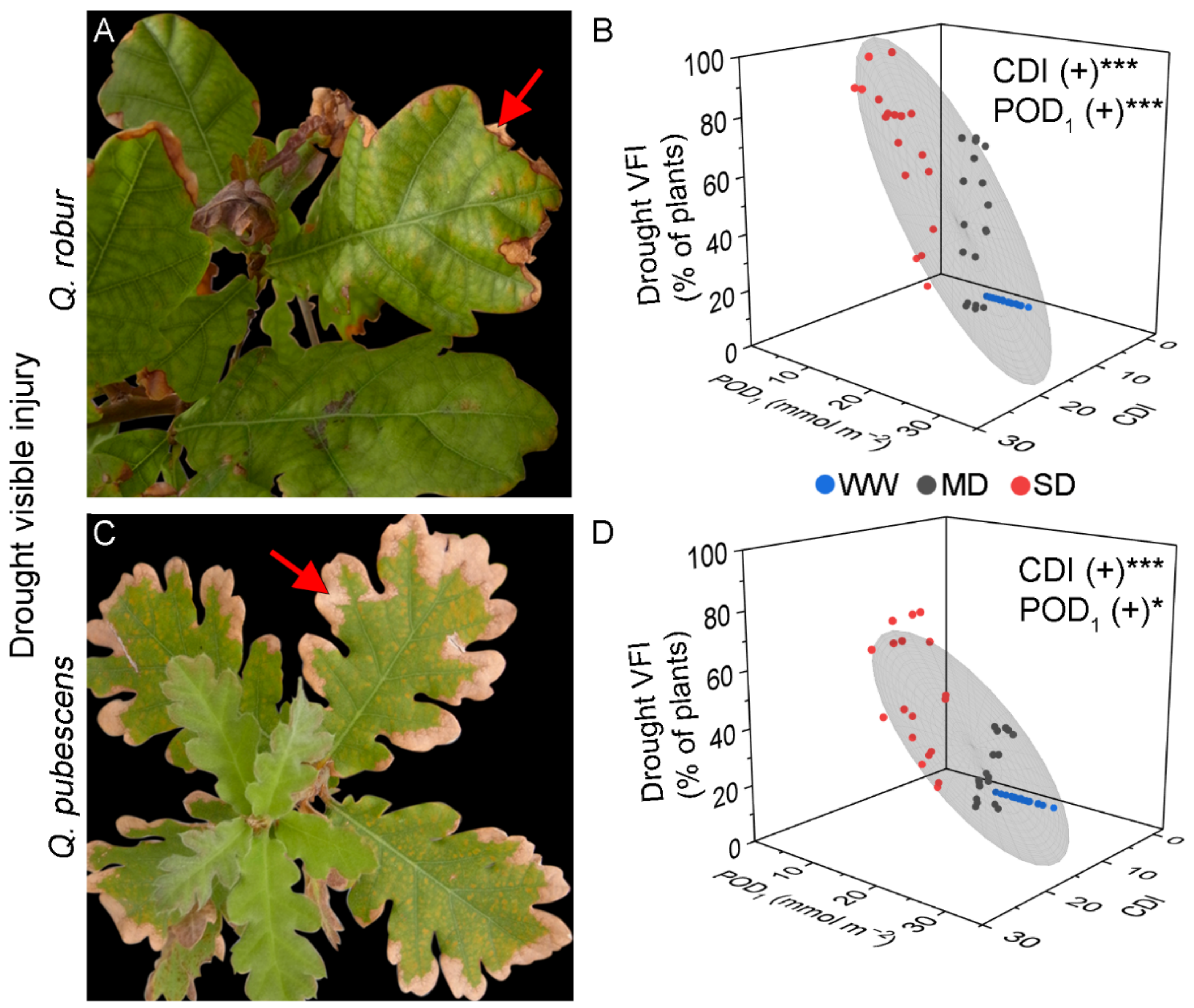 Plants 11 01836 g002