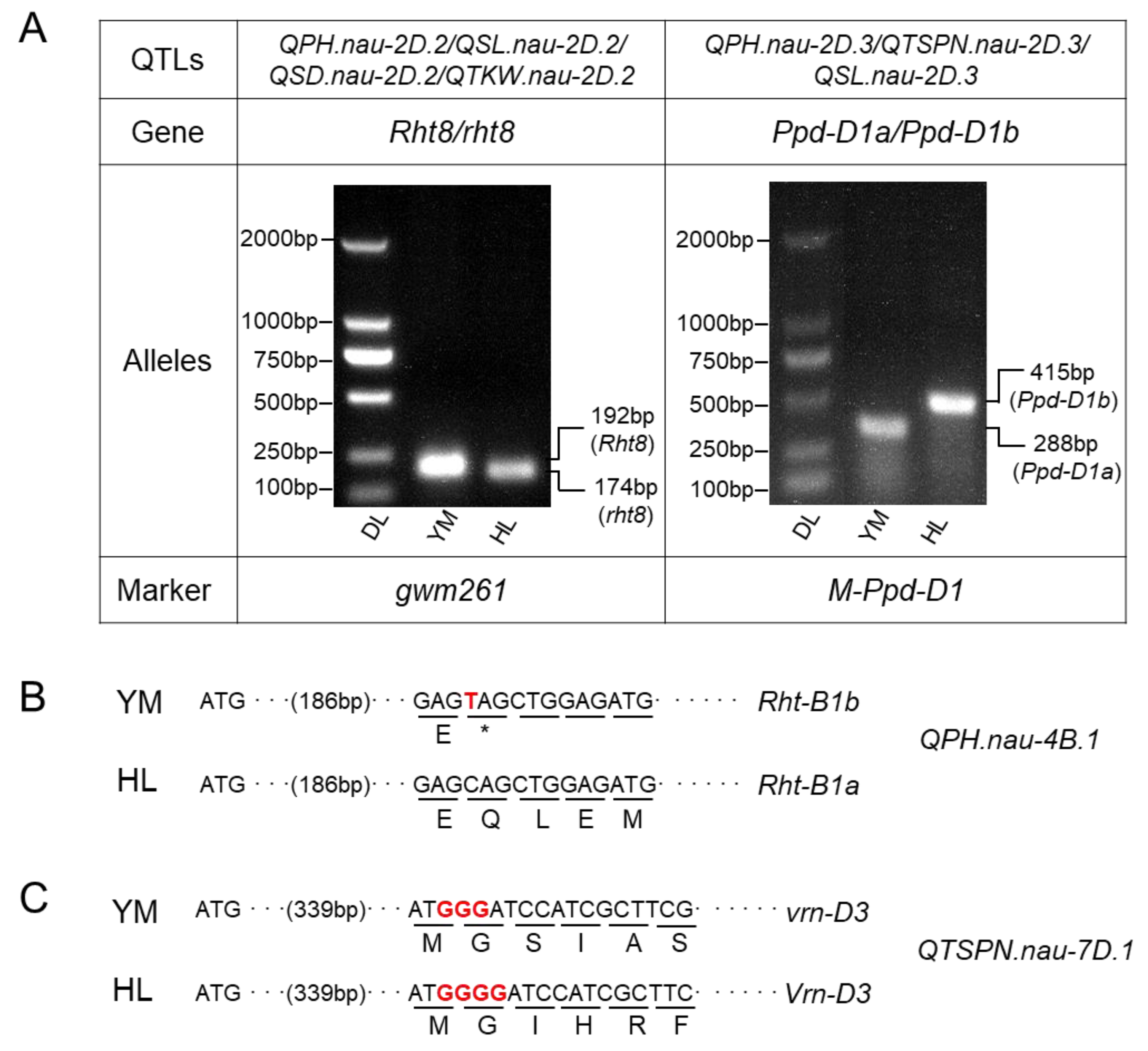 Plants 11 01837 g004