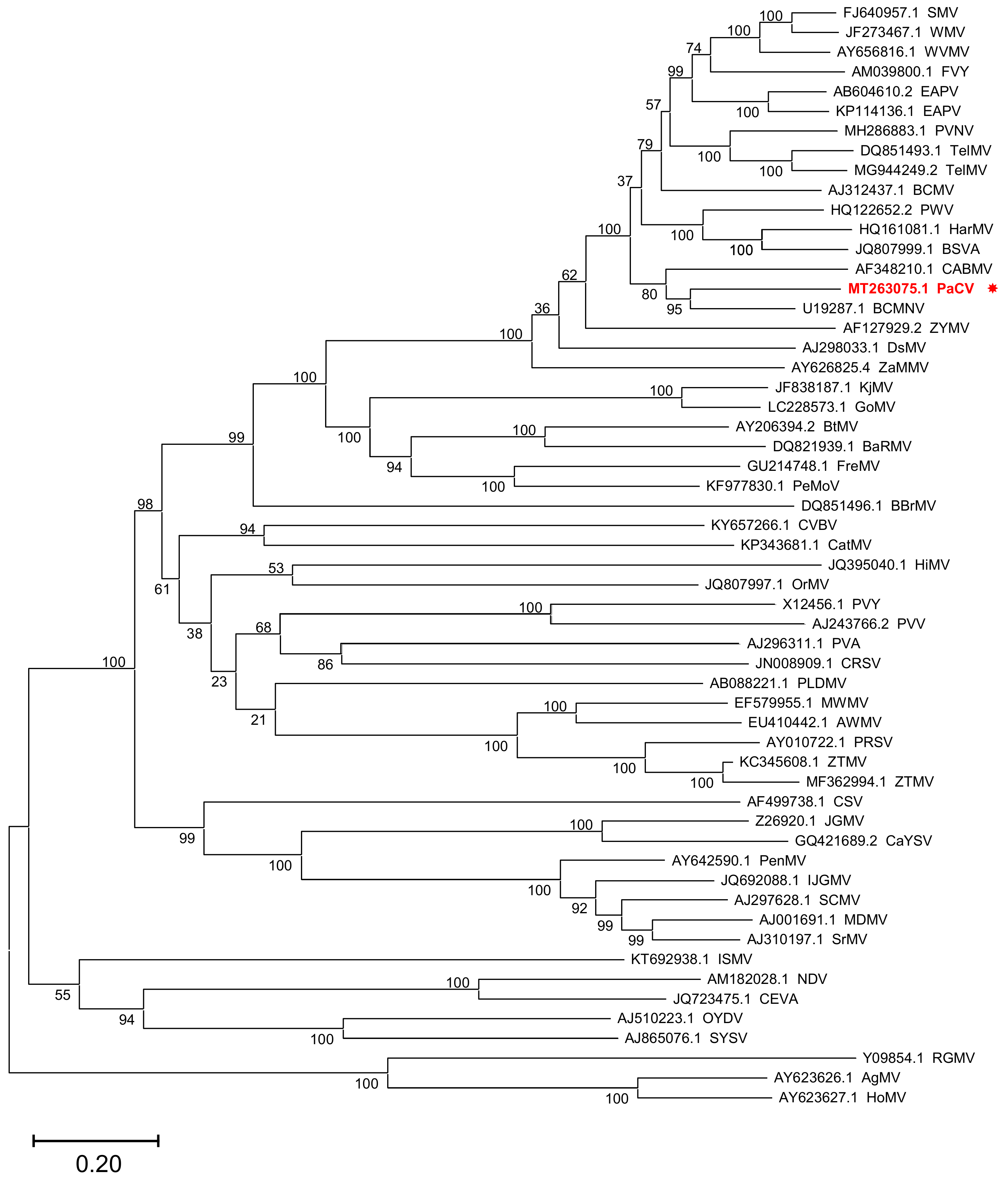 Plants 11 01838 g002 Plants 11 01838 g002