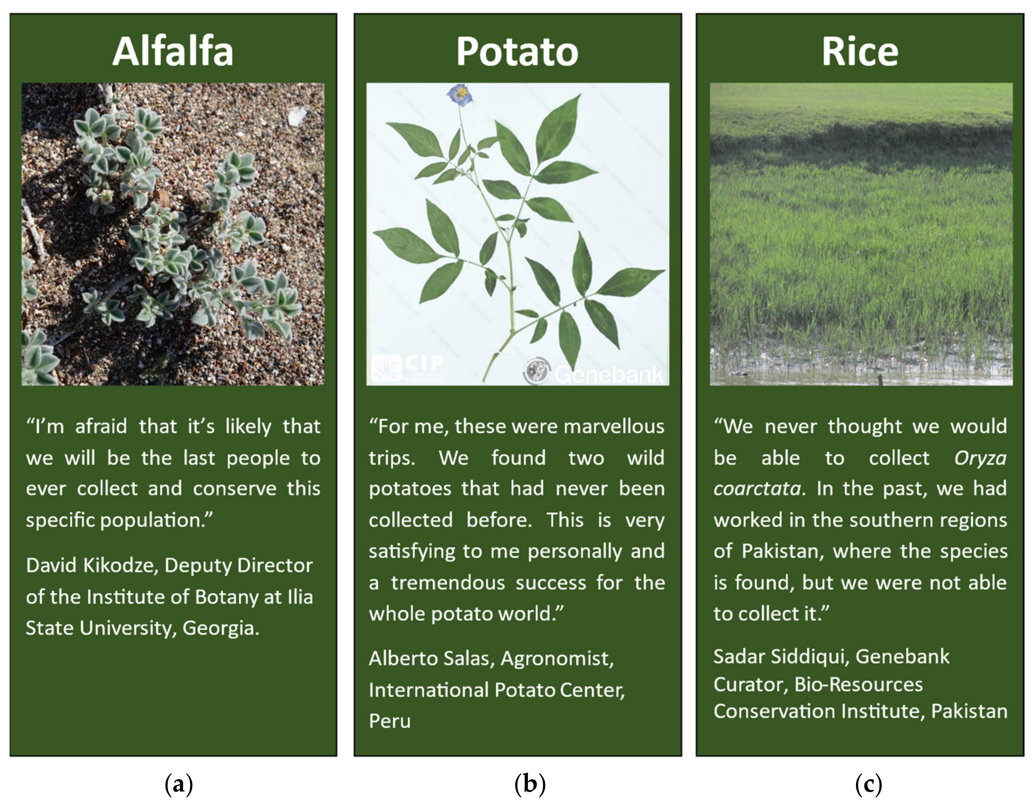 Plants 11 01840 g005