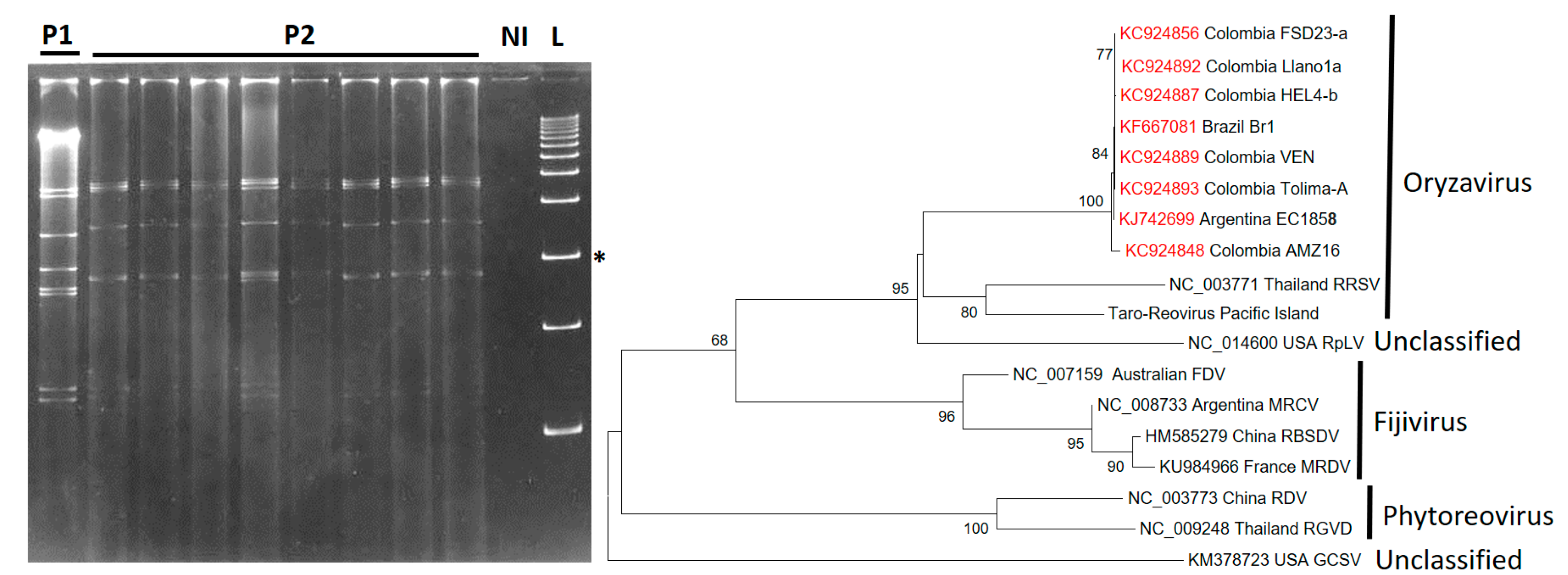 Plants 11 01841 g006