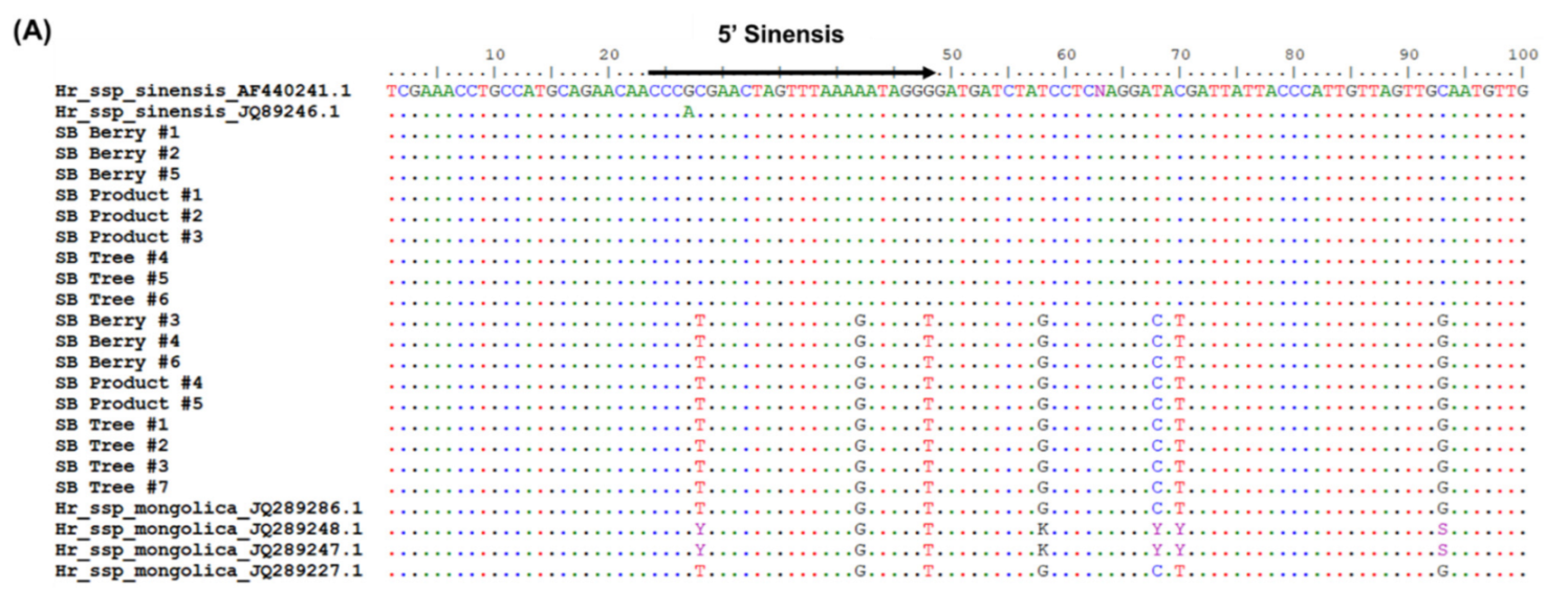 Plants 11 01843 g002a Plants 11 01843 g002a