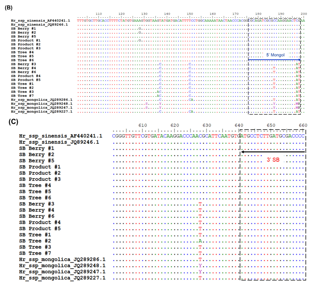Plants 11 01843 g002b Plants 11 01843 g002b