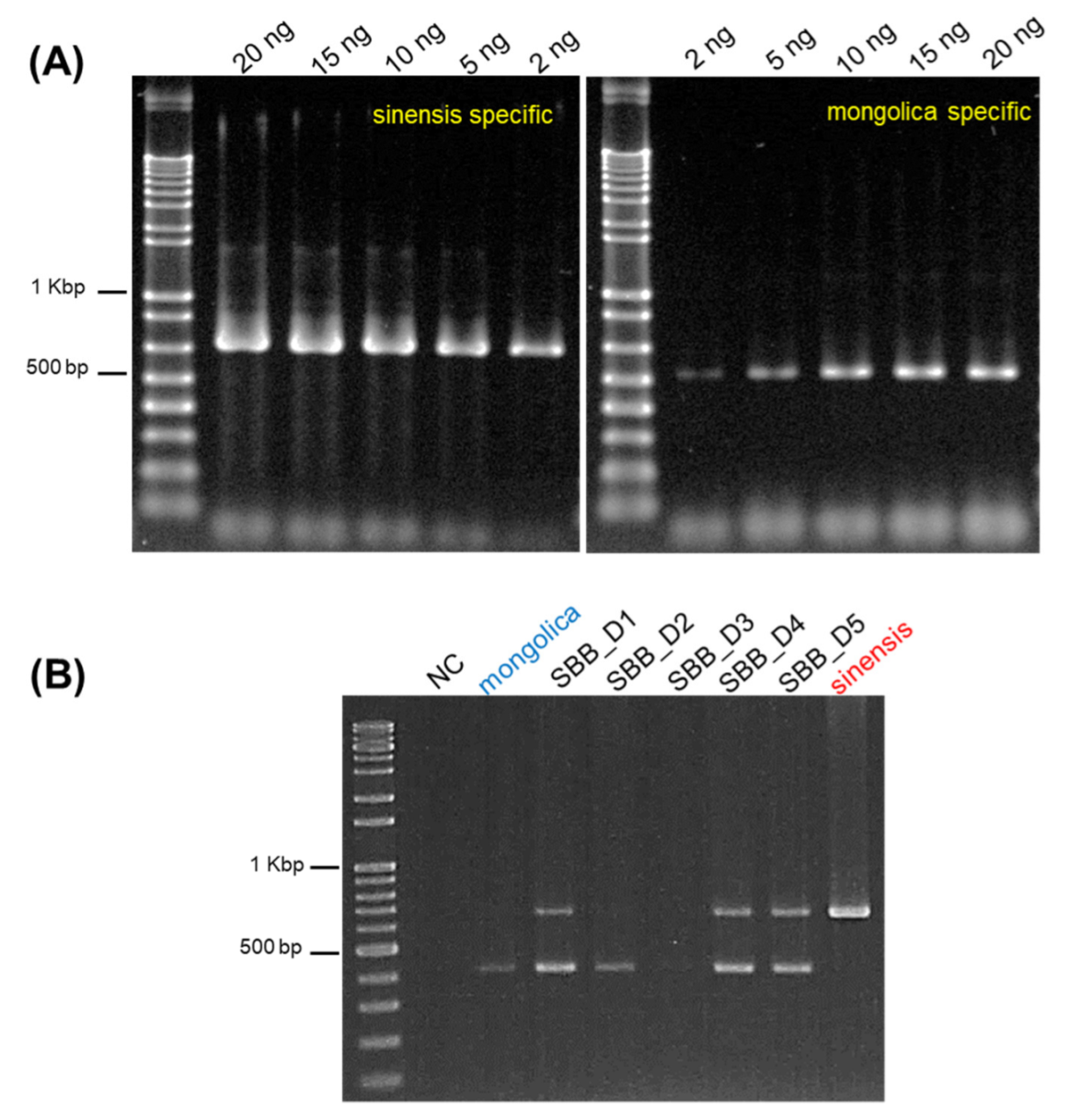 Plants 11 01843 g004 Plants 11 01843 g004