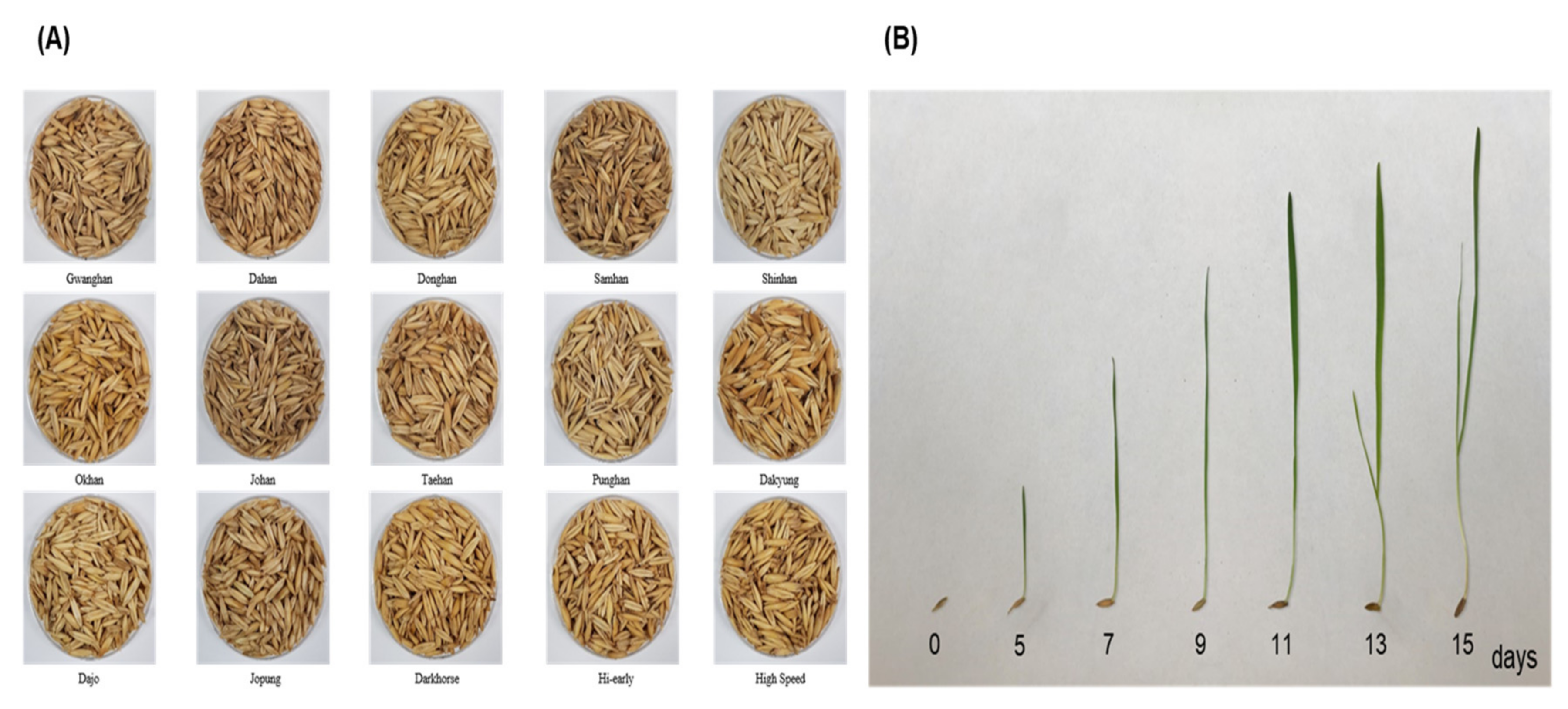 Plants 11 01844 g001 550
