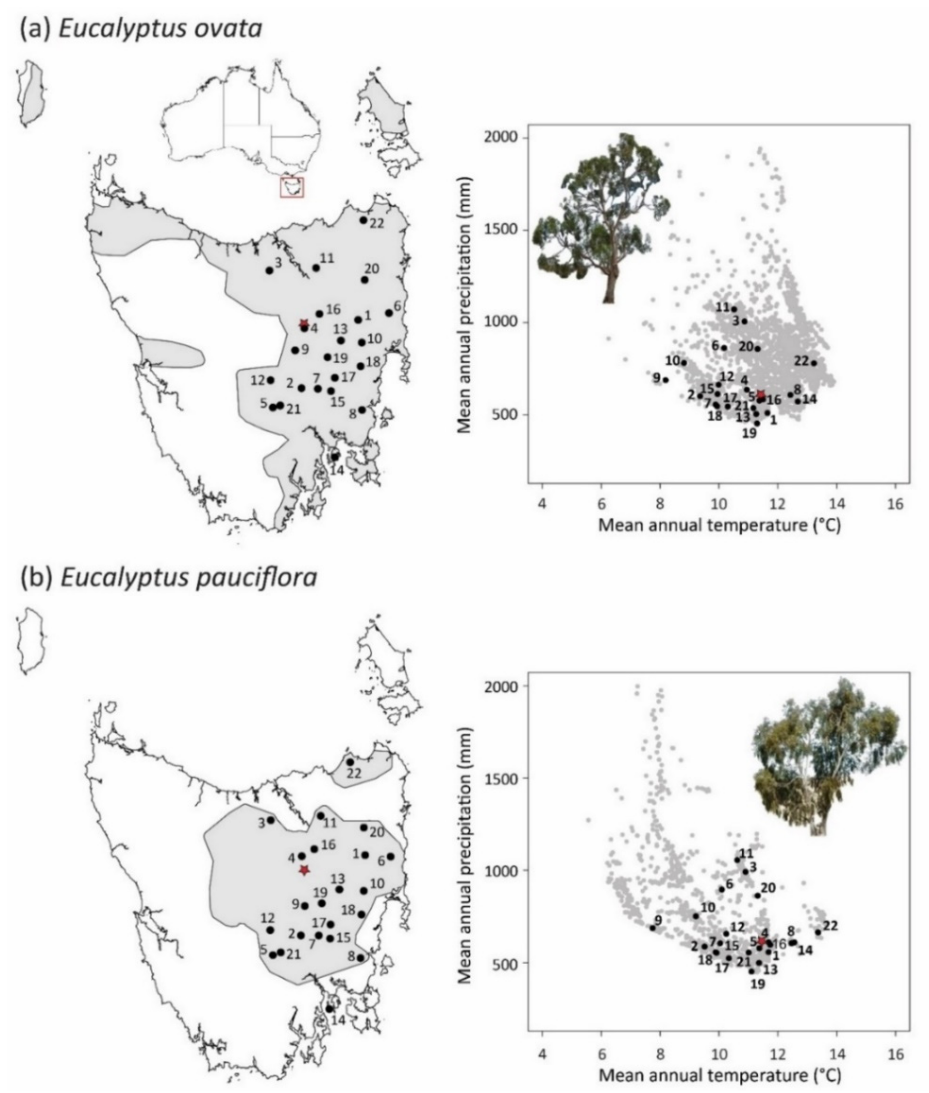 Plants 11 01846 g004 Plants 11 01846 g004