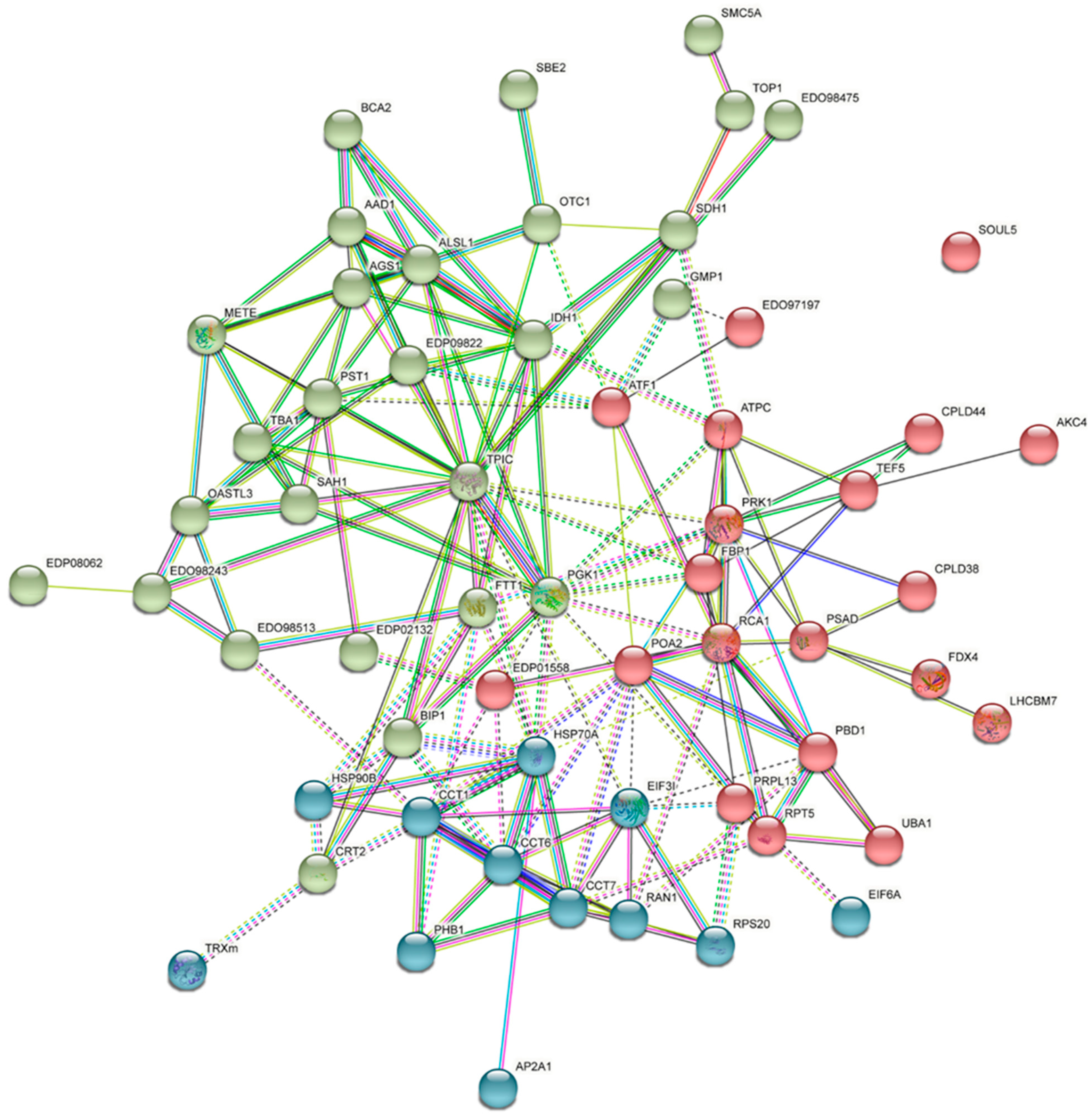 Plants 11 01851 g005