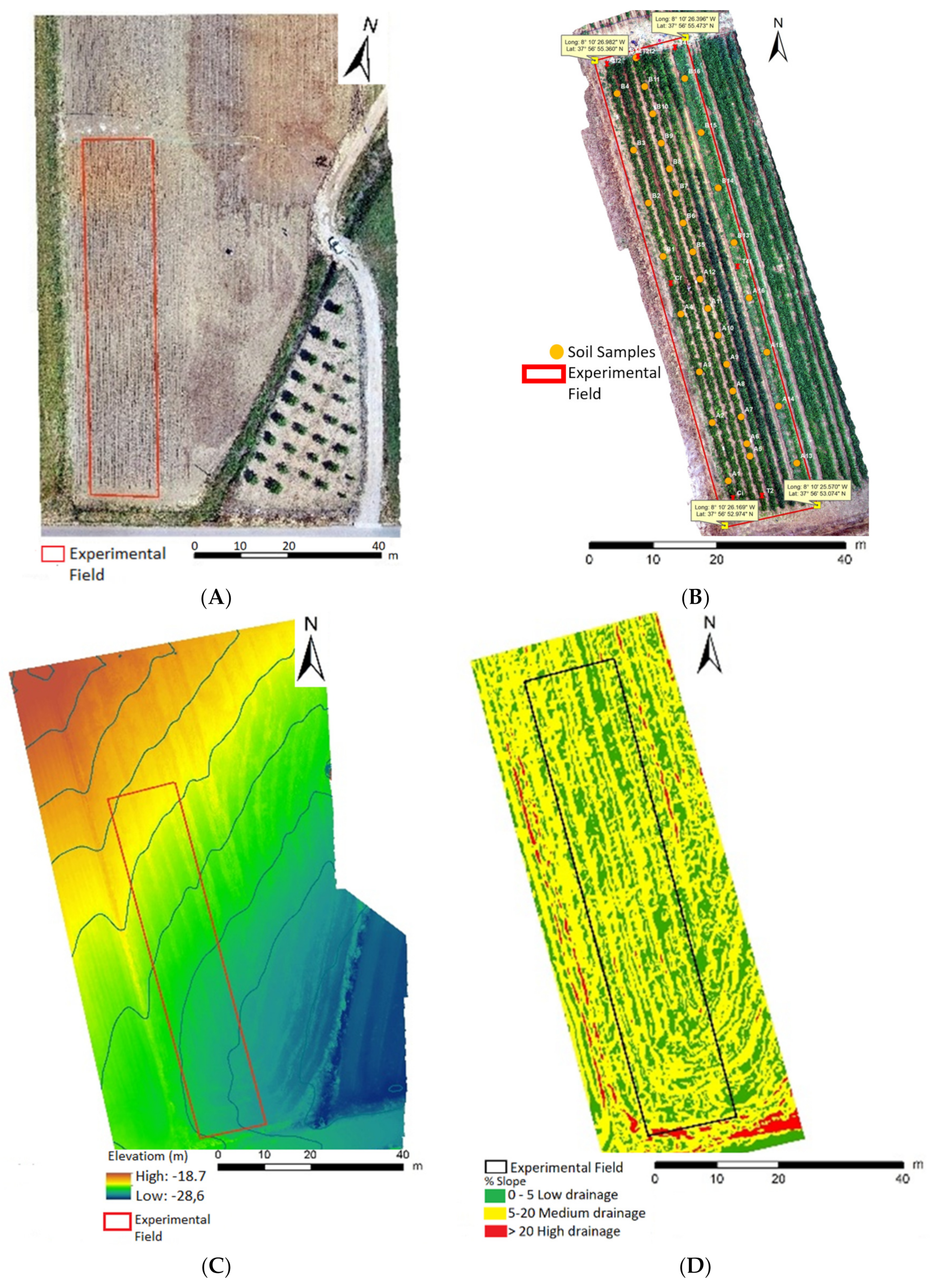 Plants 11 01854 g001 550