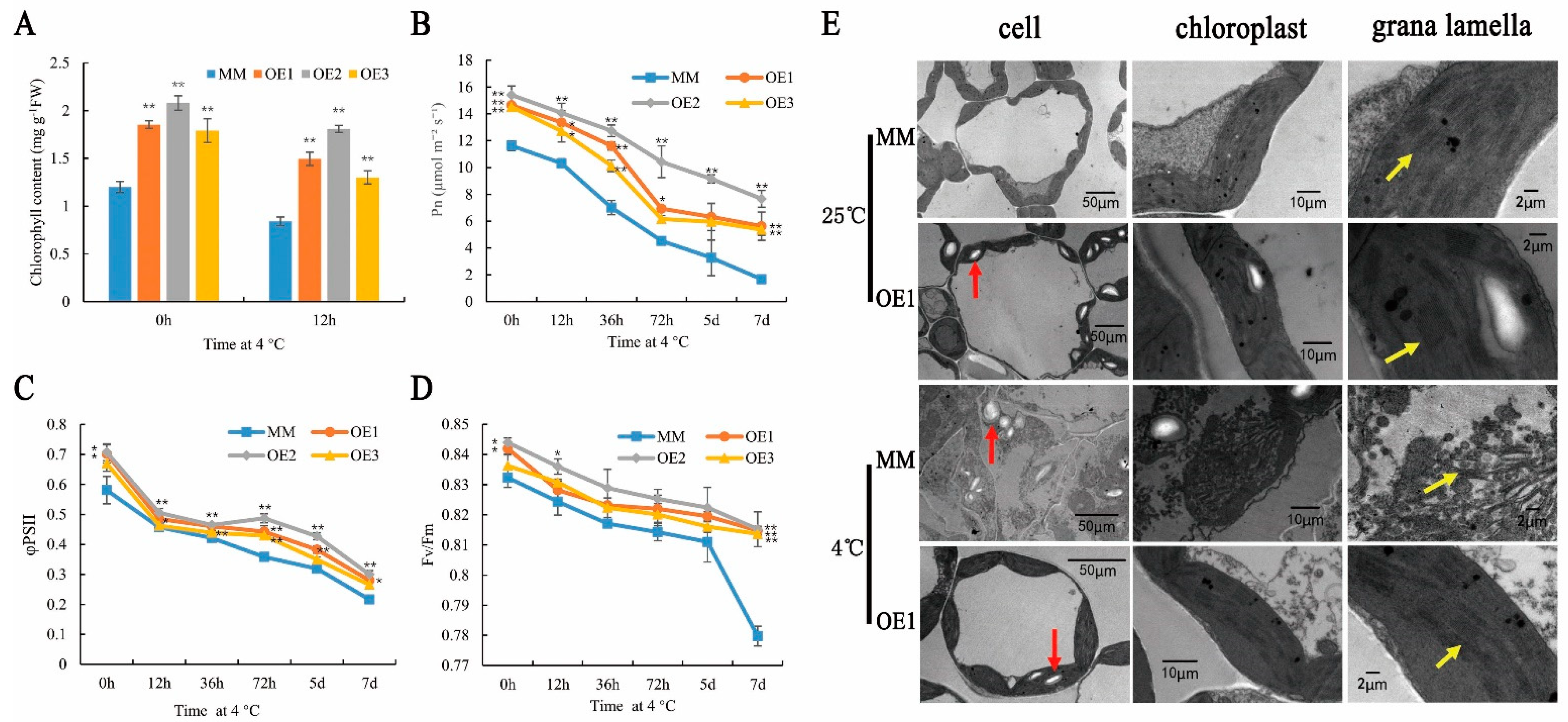 Plants 11 01865 g002 550