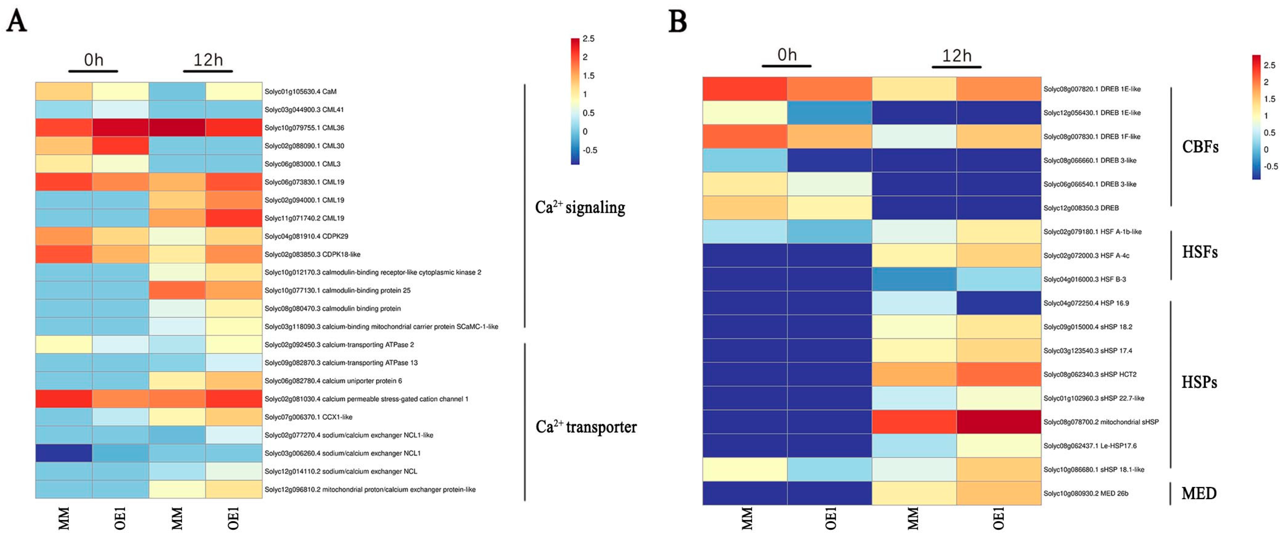 Plants 11 01865 g004 550