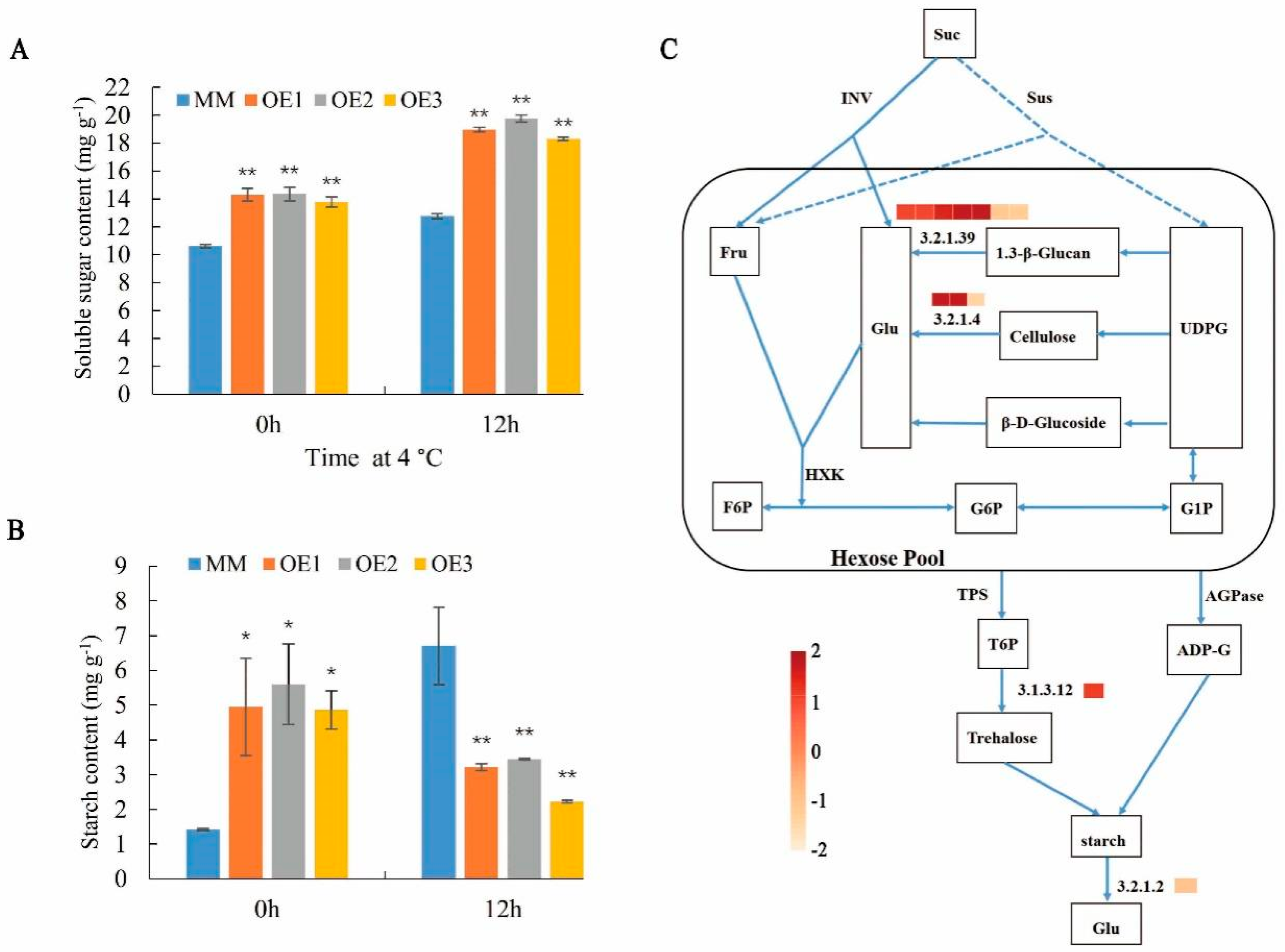 Plants 11 01865 g007 550